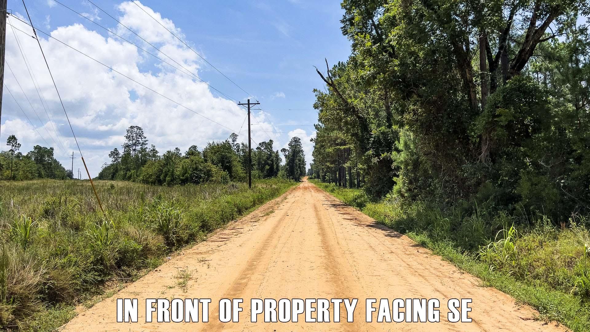 10 Acres, RozarGoolsby Rd, Eastman, GA 31023 Land and Farm