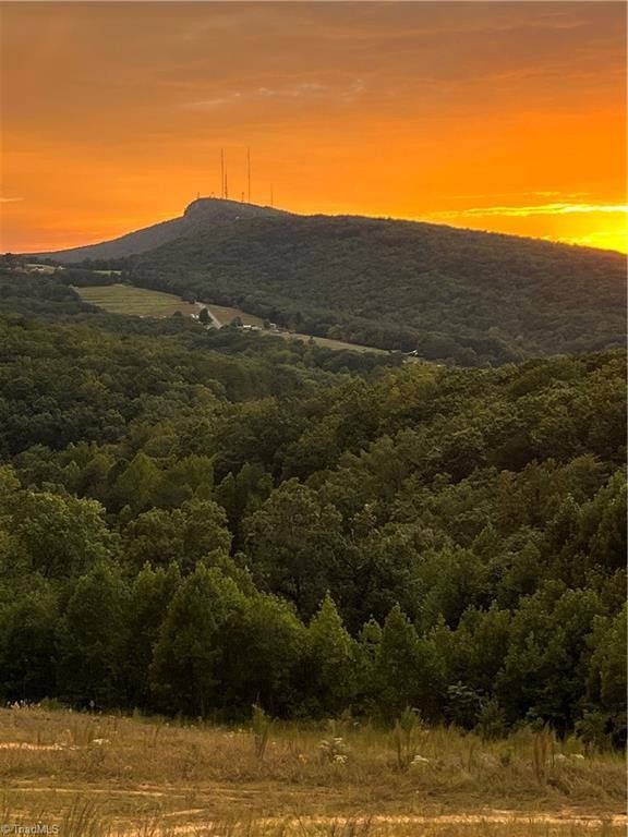 22.84 Acres, 00 NC Highway 66, King, NC 27021 Land and Farm