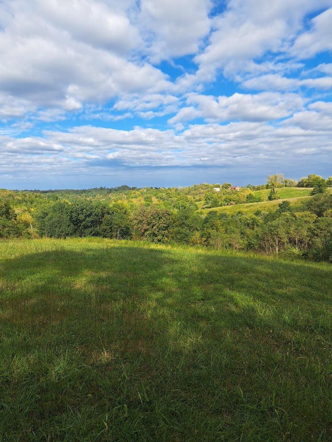 37 Acres, 300 Bracht Road, Corinth, KY 41010 Land and Farm