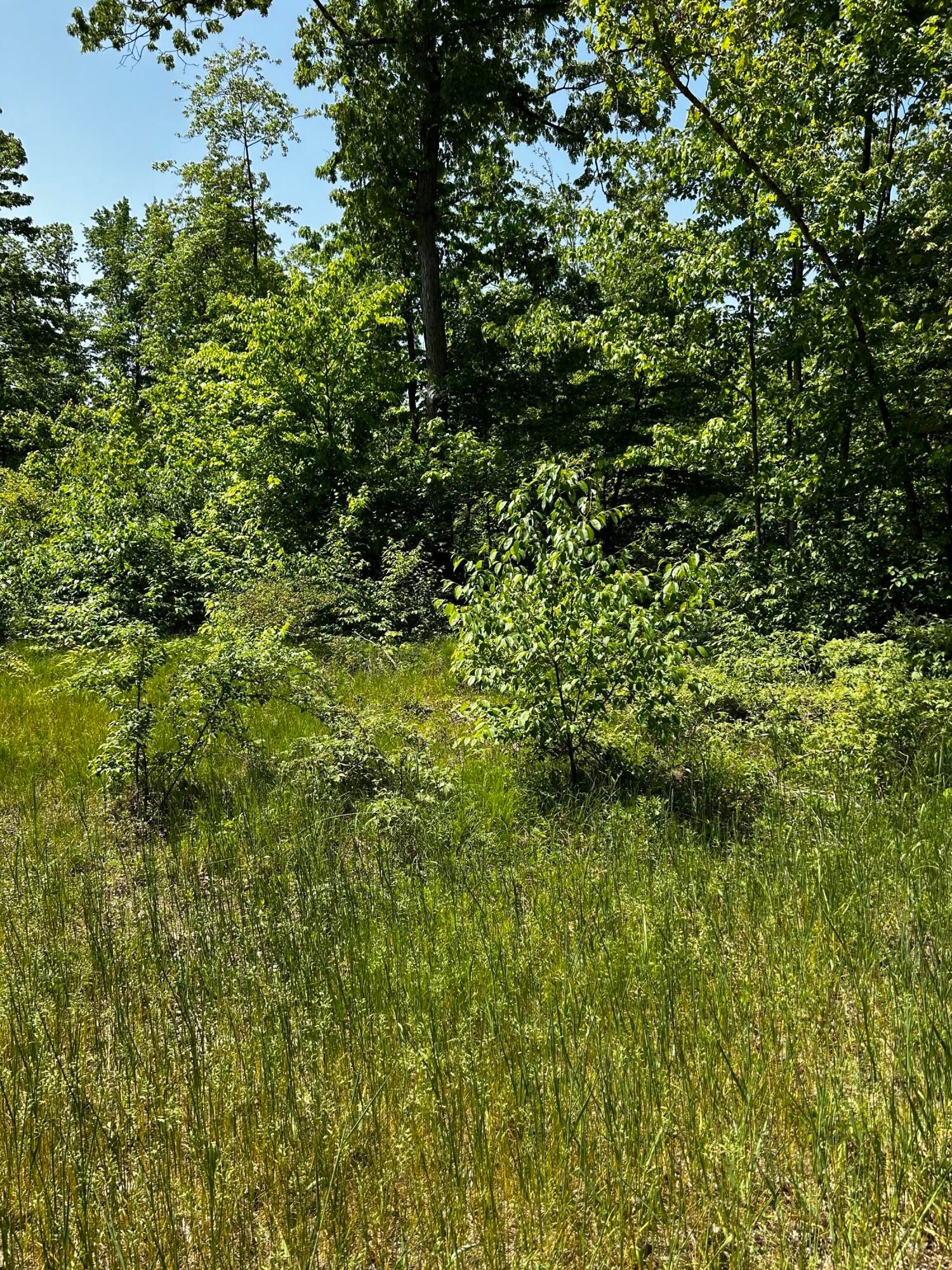 7 Acres, 1674 W Willow Street, White Cloud, MI 49349 Land and Farm