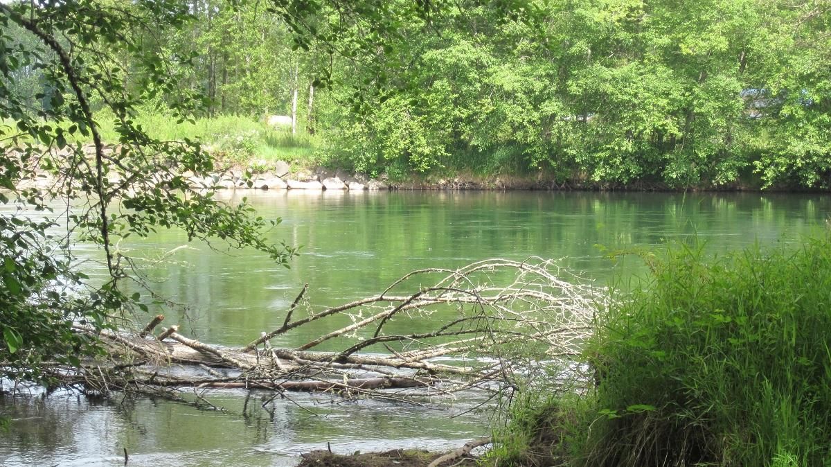 5.15 Acres, Inman Lane, Toledo, WA 98591 Land and Farm