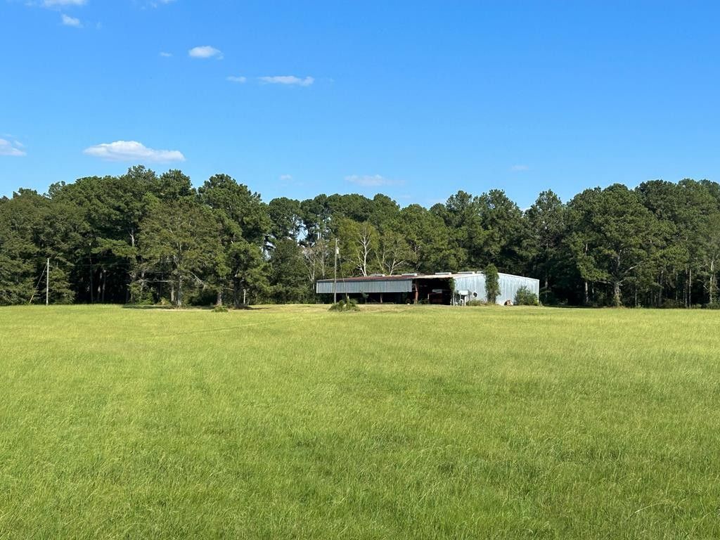 41.4 Acres, 41.4+-ac Oscar Godwin Rd/ Hwy 231, Dothan, AL 36301 | Land