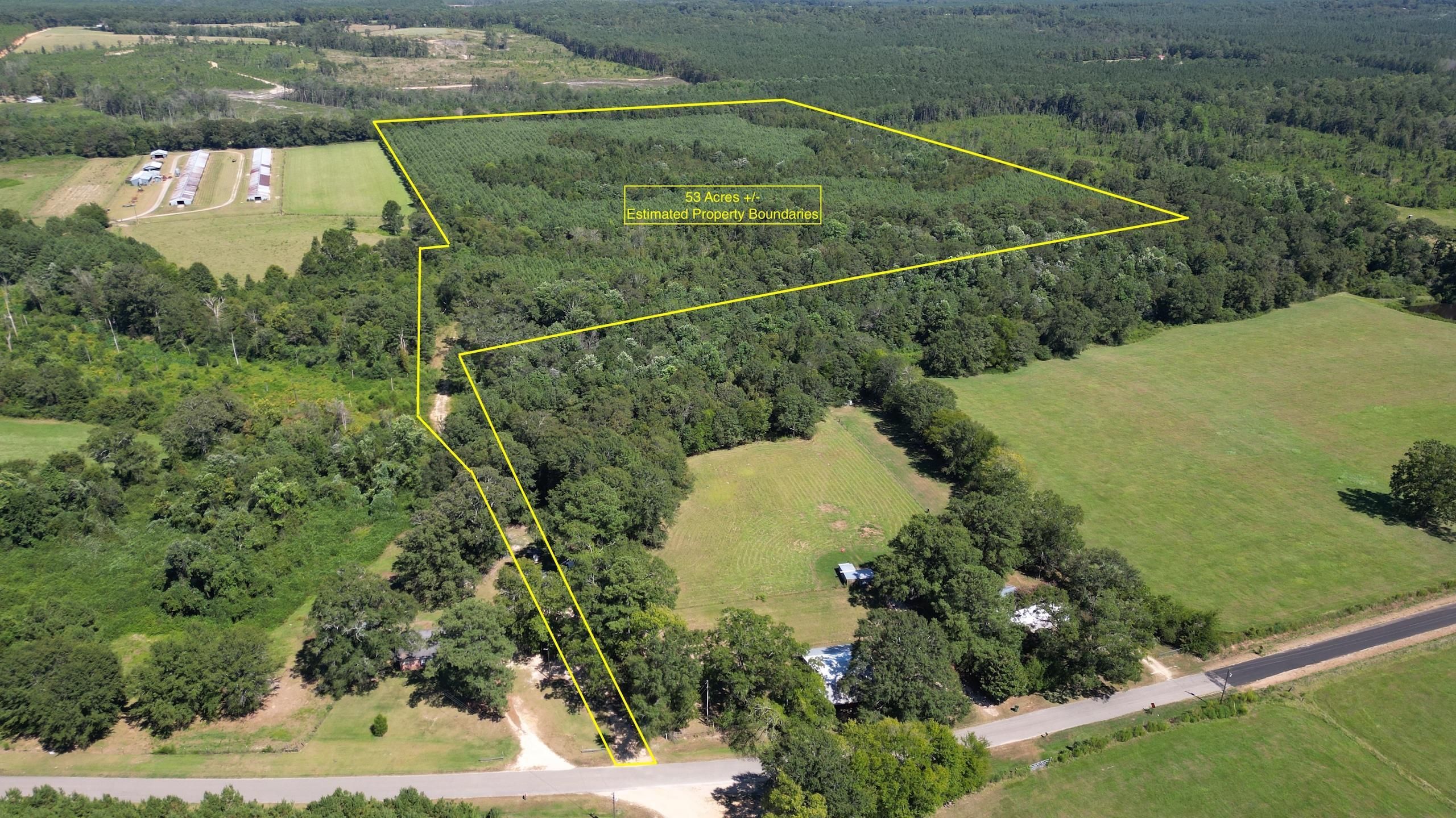 No Physical Address, Vacant Land, LotWP001, Millry, AL 36558 Land