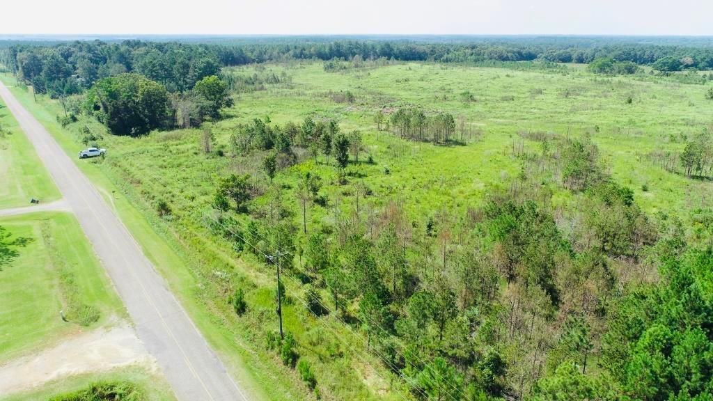 Mims Rd, Byromville, GA 31007 MLS Dooly Longleaf Land and Farm