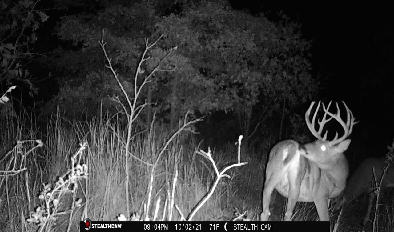 760 Acres, Gerty, OK 74531 Land and Farm