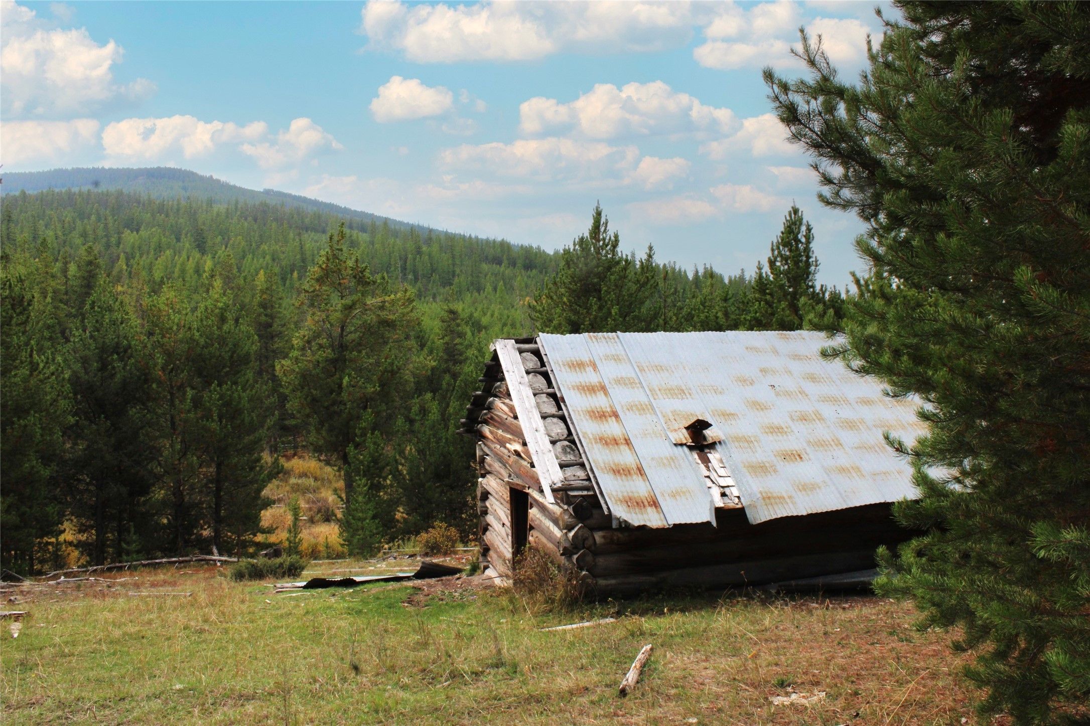 156 Acres, Nhn 519 Road, Plains, MT 59859 Land and Farm