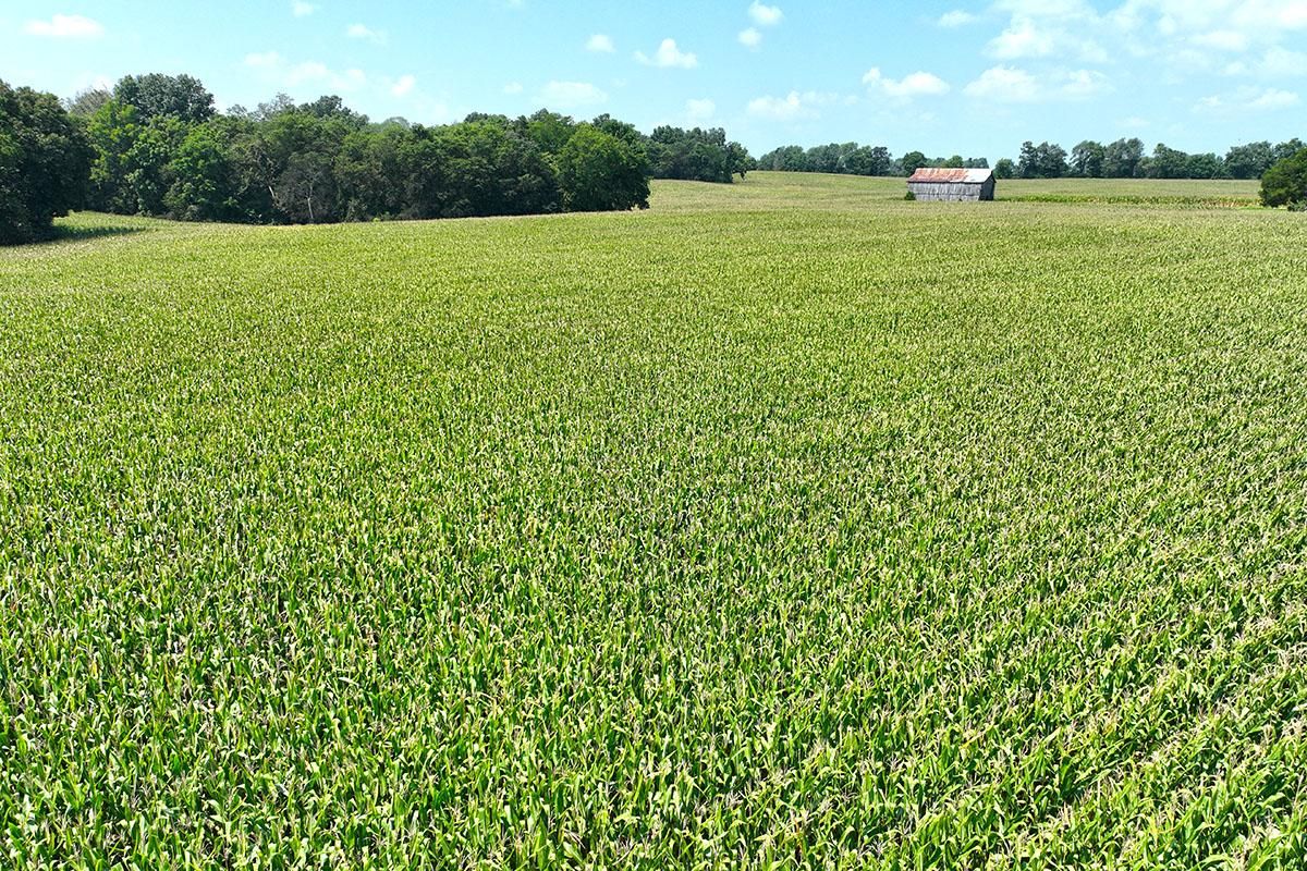 5799 Road, Franklin, KY 42134 Land and Farm