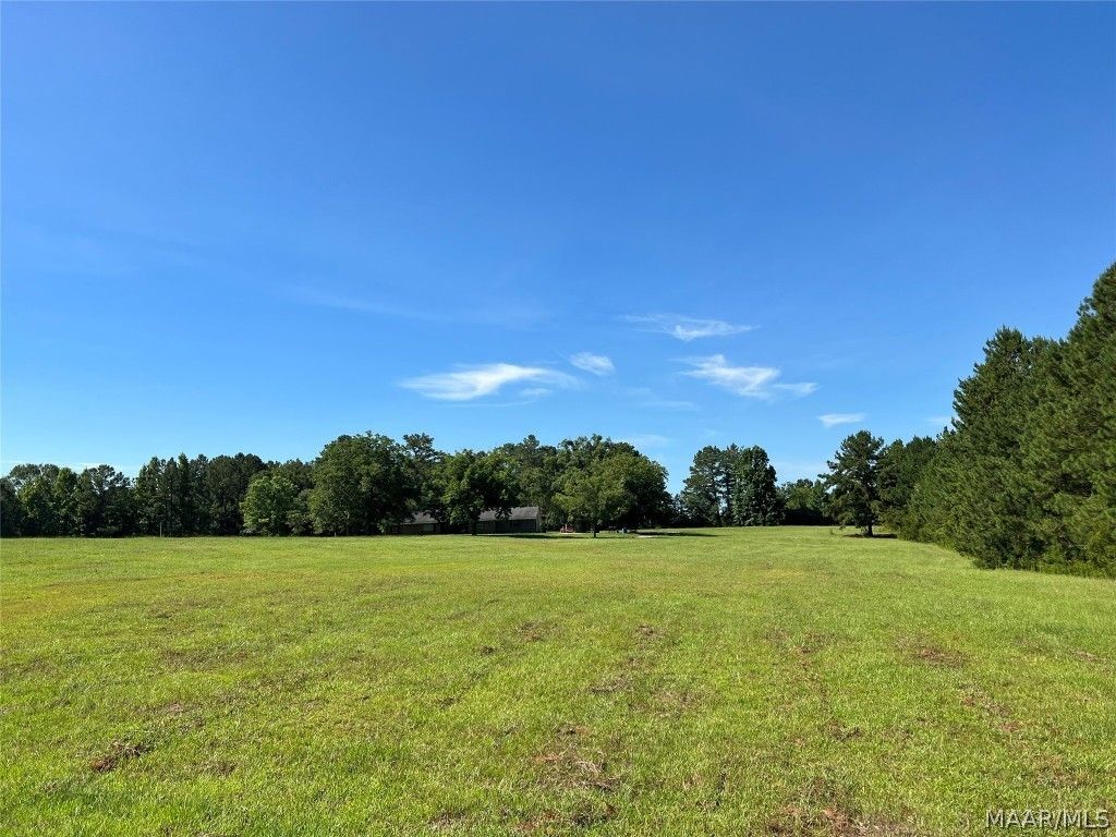 150 Acres, 1317 Highway 110 Highway, Union Springs, AL 36089 Land and