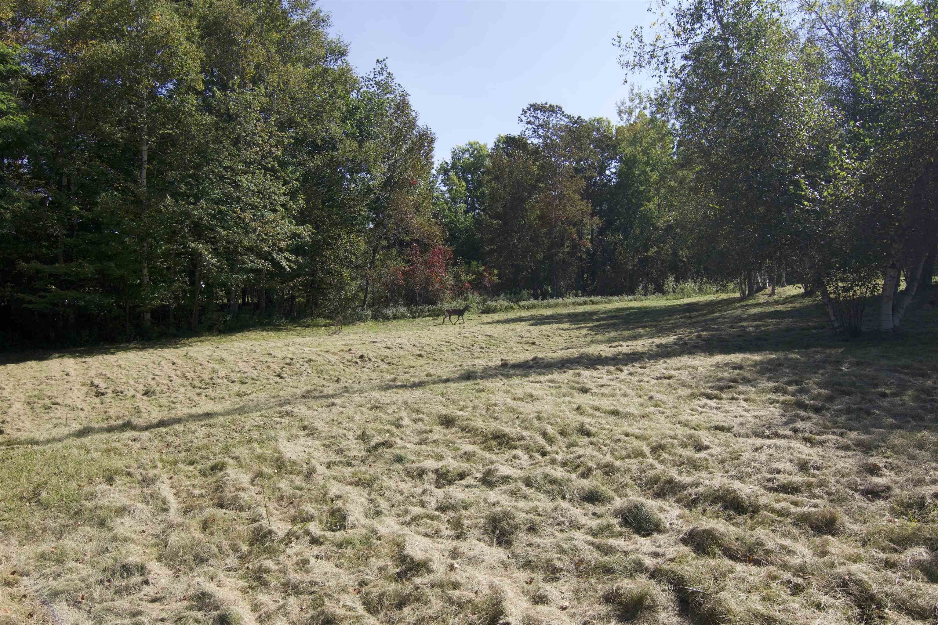 1.5 Acres, 42 Meadow Street, Bethlehem, NH 03574 Land and Farm