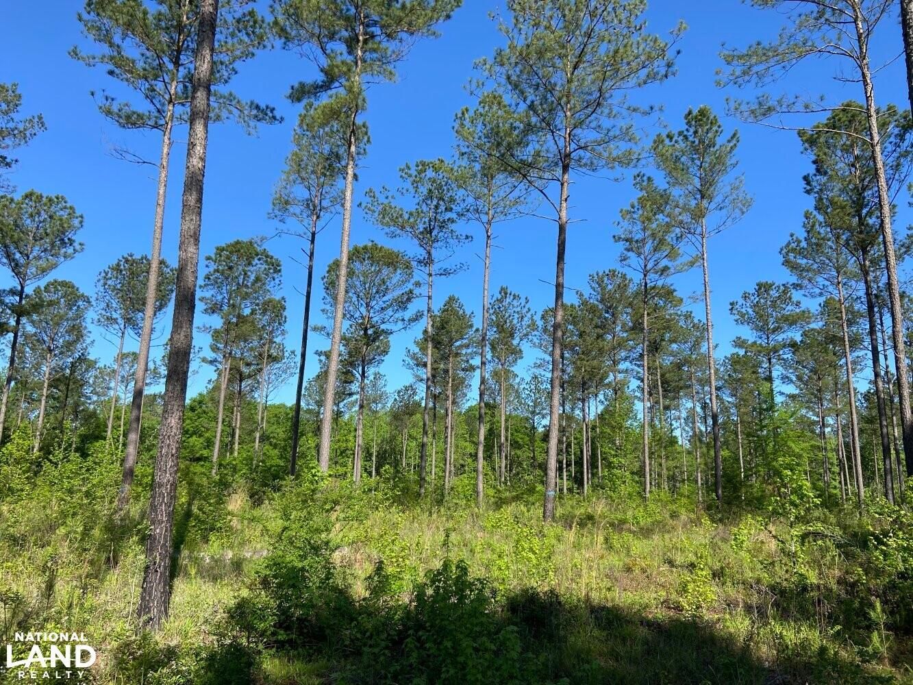 151.29 Acres, 1629 Hwy 22, Haddock, GA 31033 Land and Farm
