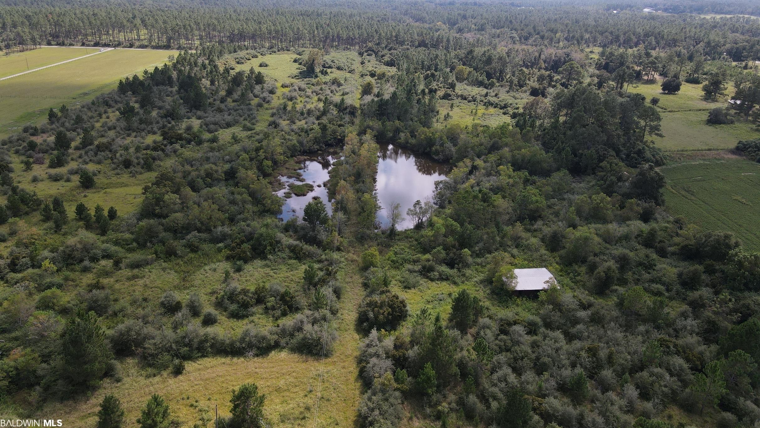 0 Hagendorfer Road, Lillian, AL 36549 MLS 352271 Land and Farm