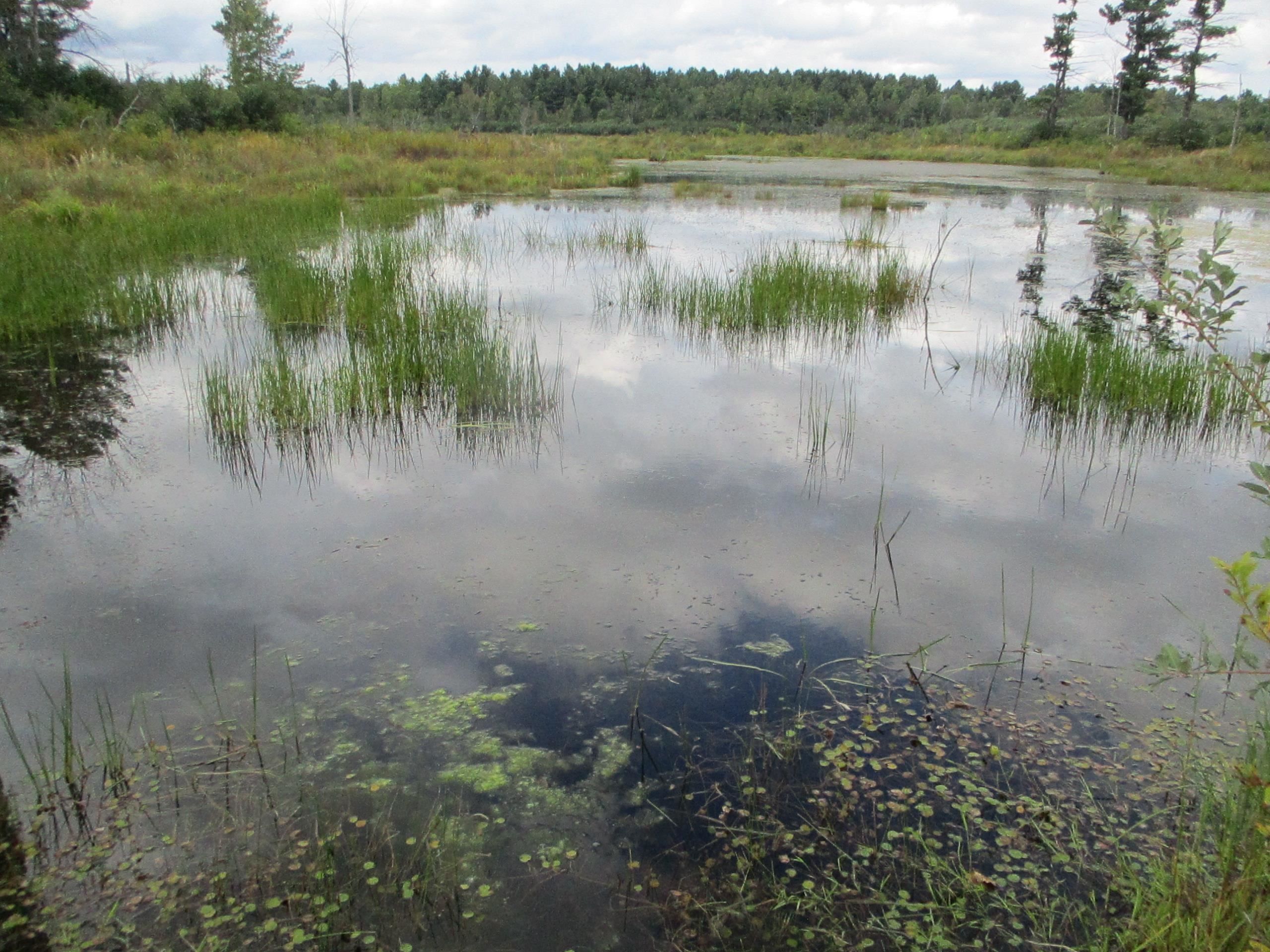 54 Acres, 000000 Heath Rd., Potsdam, NY 13676 Land and Farm