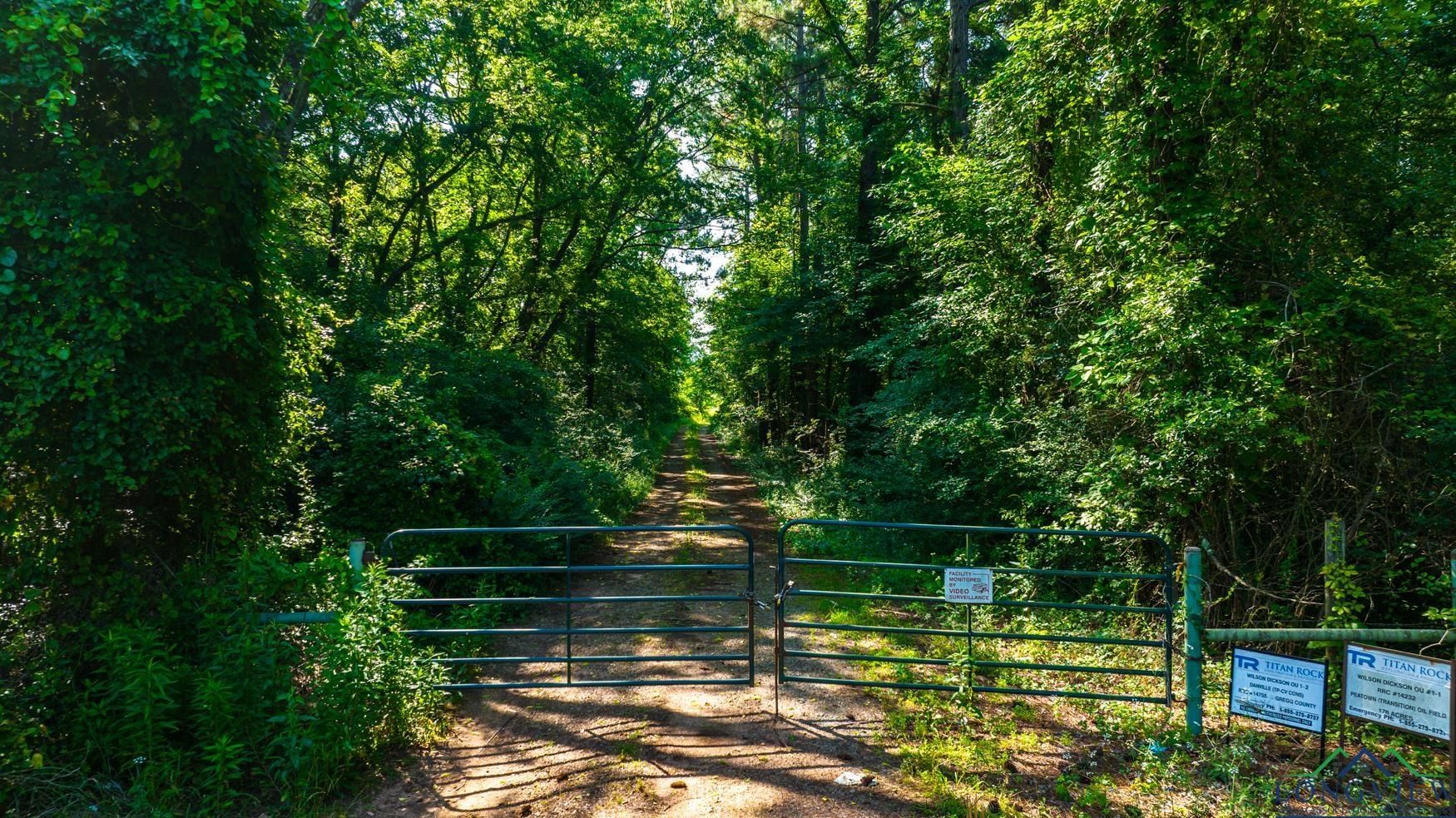 120 Acres, TBD FM 2087, Kilgore, TX 75662 Land and Farm