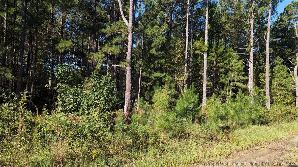 1.2 Acres, Roberts Road, Sanford, NC 27332 Land and Farm