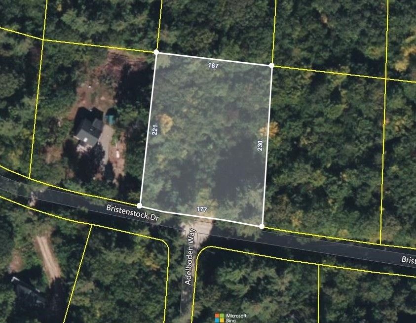 0.89 Acres, 14 Bristenstock Drive, Madison, NH 03849 Land and Farm
