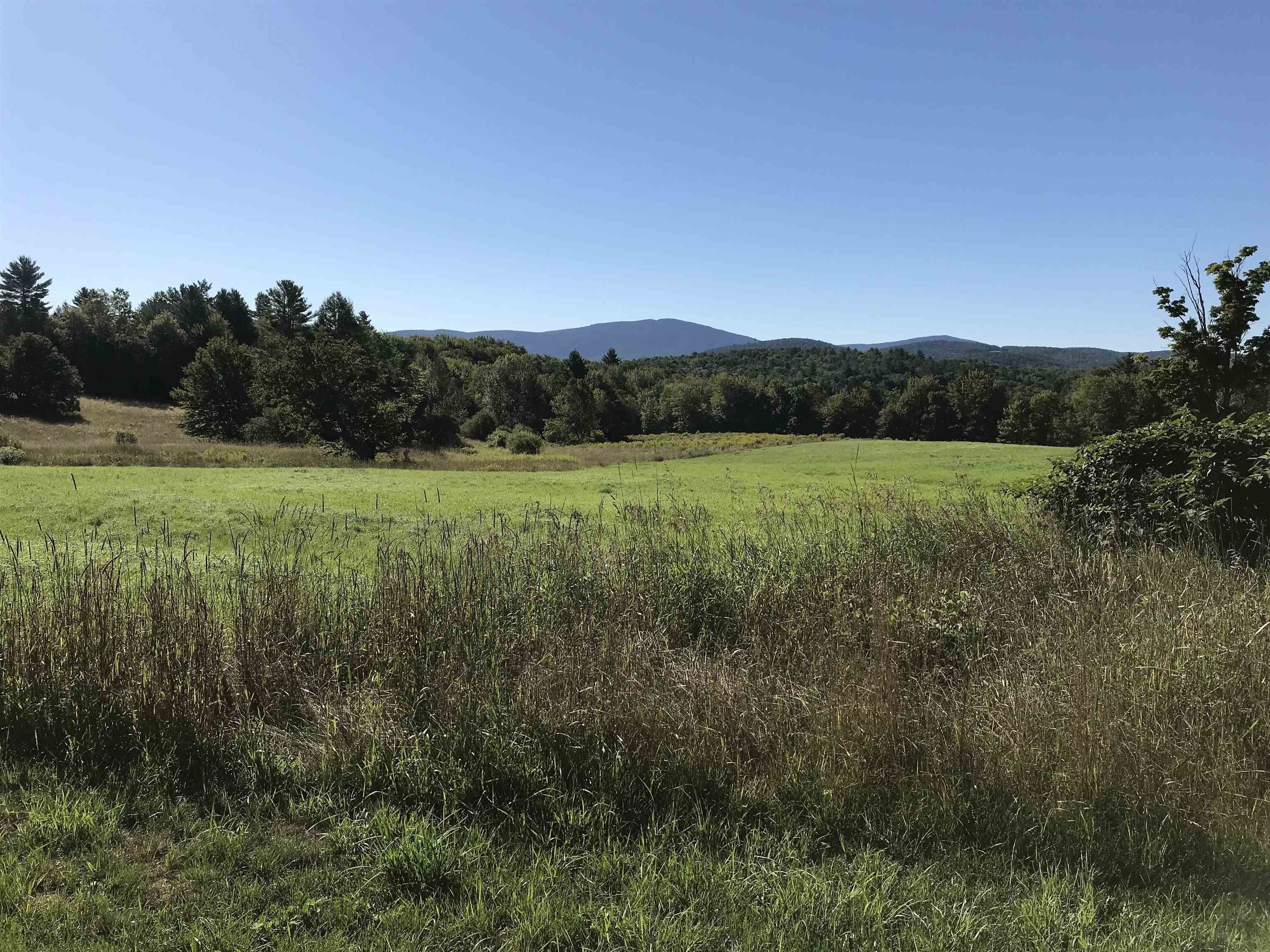 100 Acres, 00 Old Turnpike Road, Mount Holly, VT 05758 Land and Farm