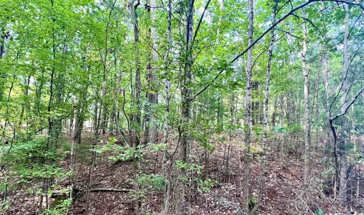 0.74 Acres, 1450 Snug Harbor Drive, Greensboro, GA 30642 Land and Farm