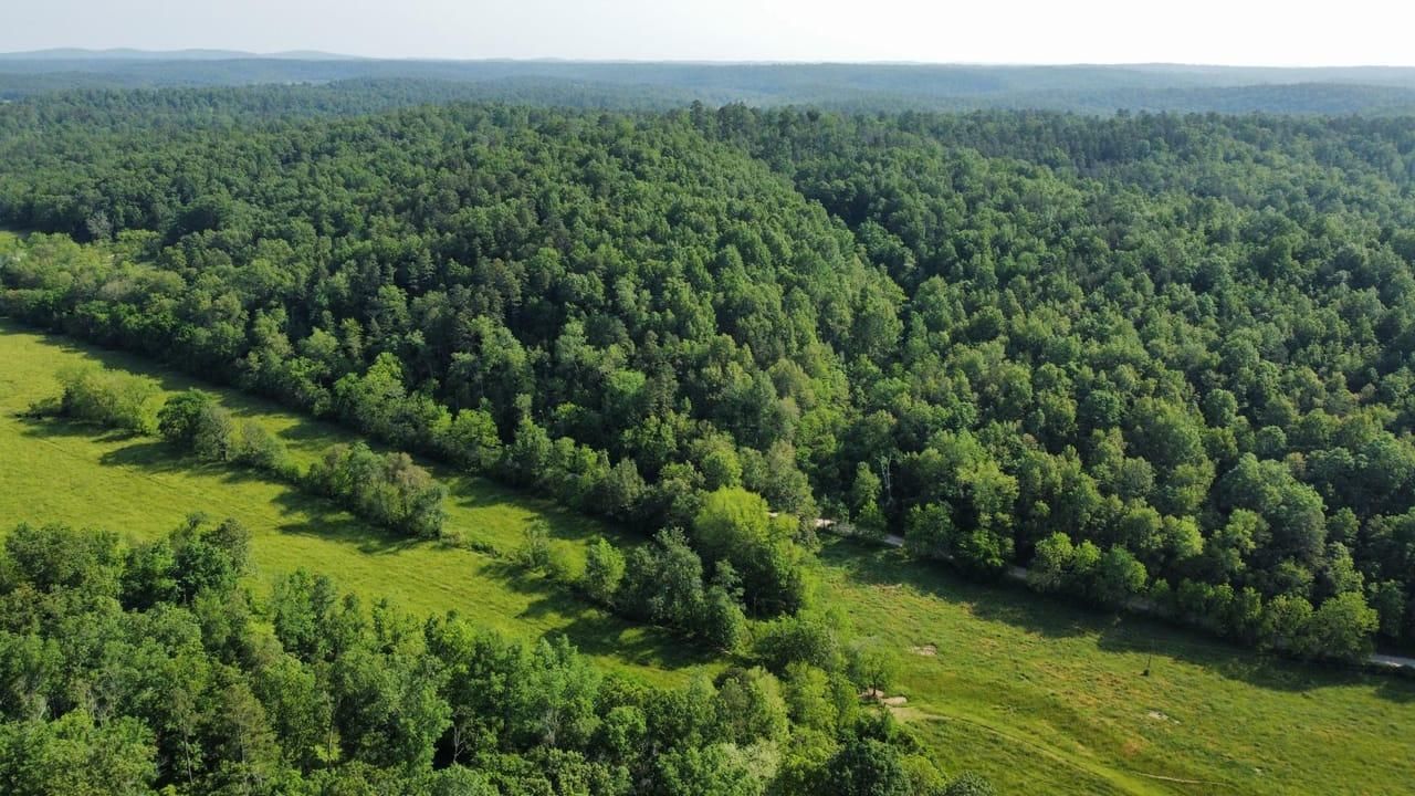 18 Acres, 000 Carter 154, Fremont, MO 63941 Land and Farm