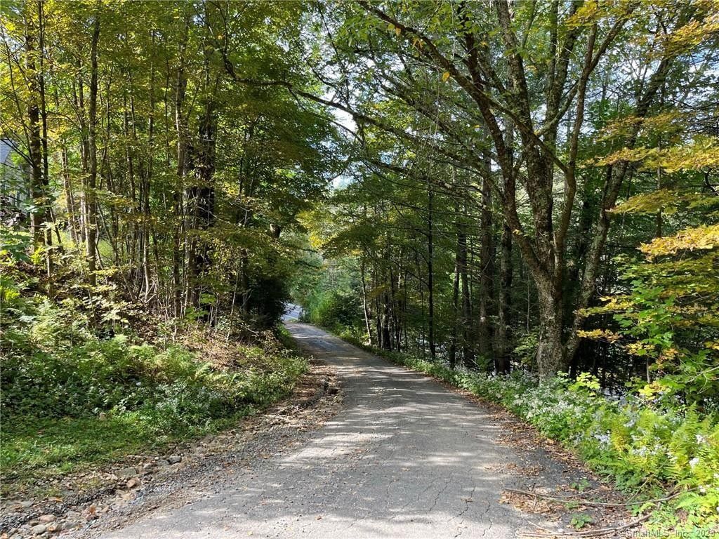 7 Acres, 78 Riverton Road, Barkhamsted, CT 06065 Land and Farm