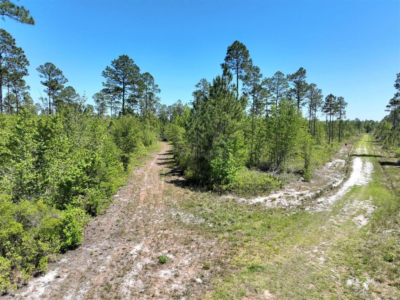 63.59 Acres, 0 Shiloh Trail, Folkston, GA 31537 Land and Farm