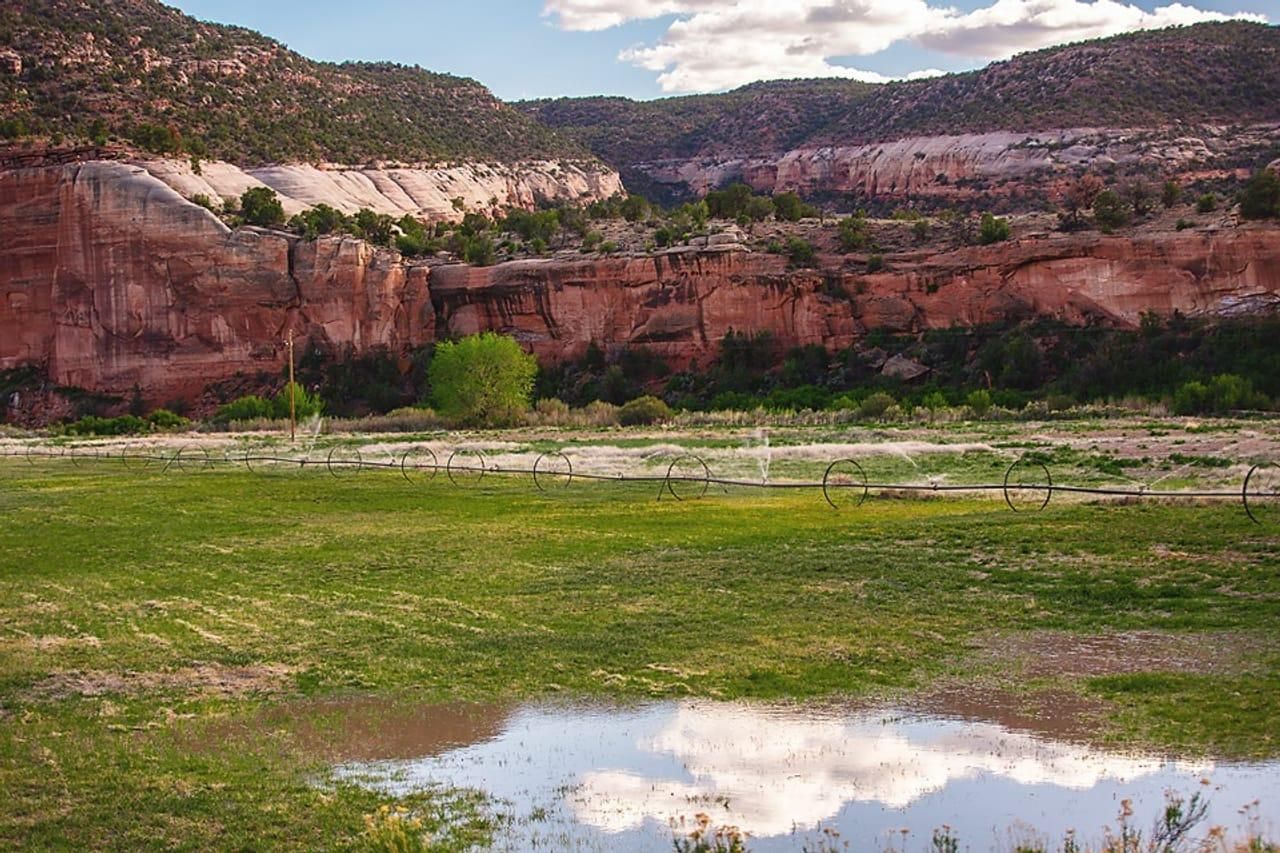 1870 County Road S8, Egnar, CO 81325 MLS 808276 Land and Farm