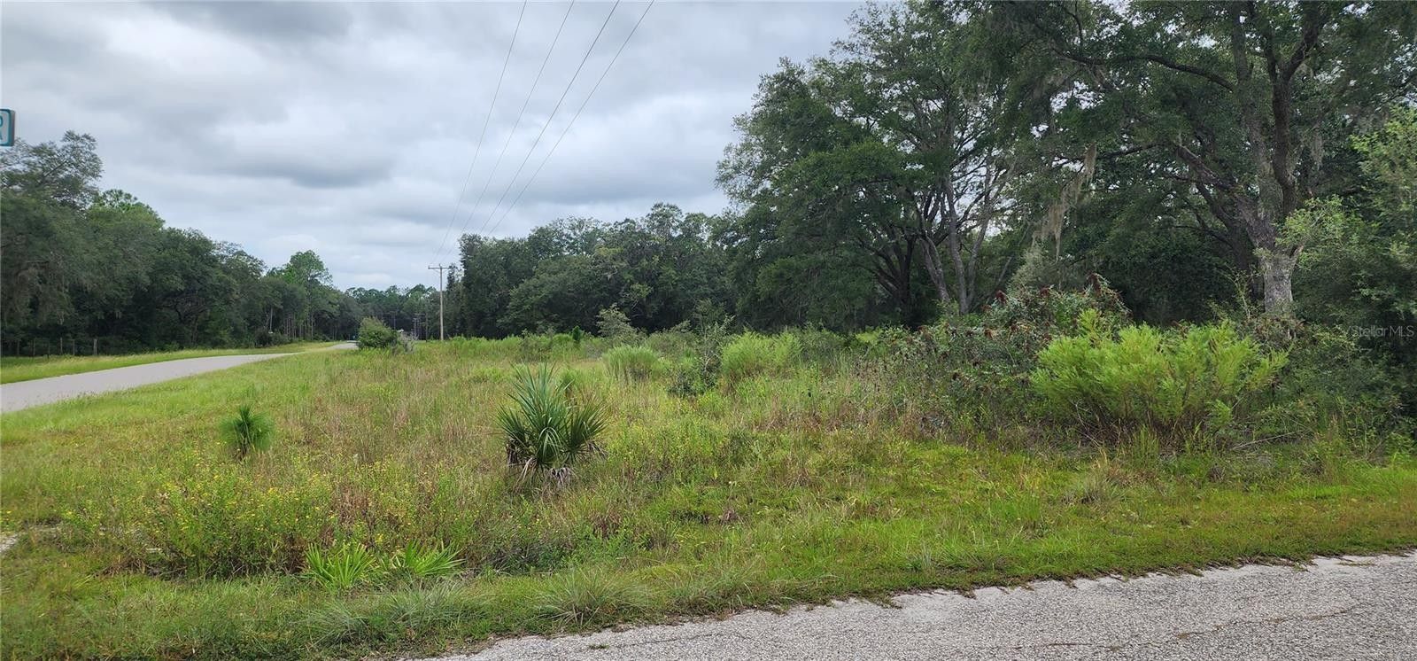 1 Acres, Tbd SE 126TH TERRACE, Dunnellon, FL 34431 Land and Farm