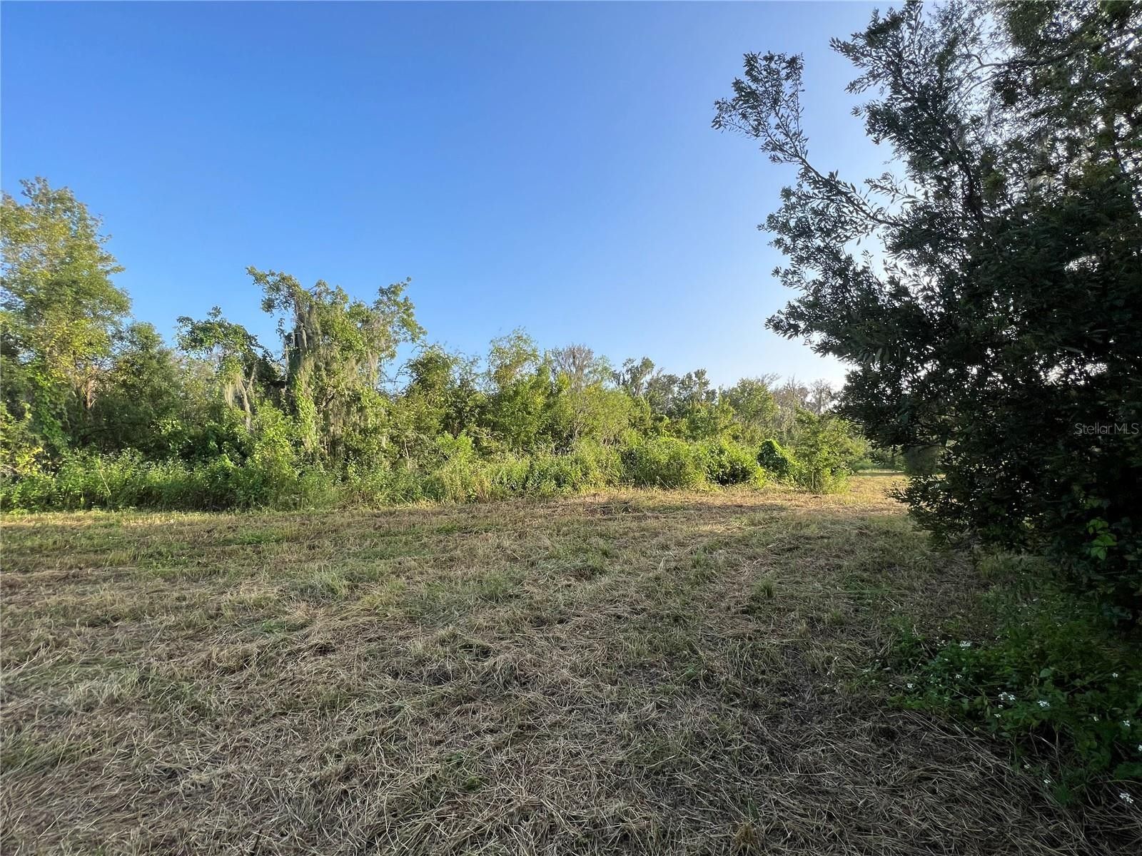 7835 KATHLEEN ROAD, Lakeland, FL 33810 MLS P4927557 Land and Farm