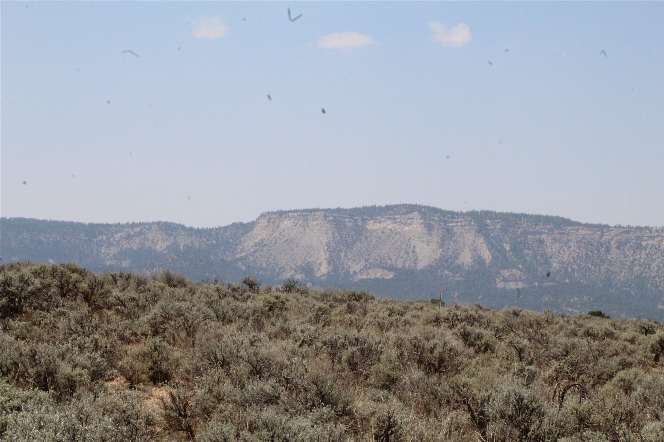 11.52 Acres, Tbd Pajarito Road, Tierra Amarilla, NM 87575 Land and Farm