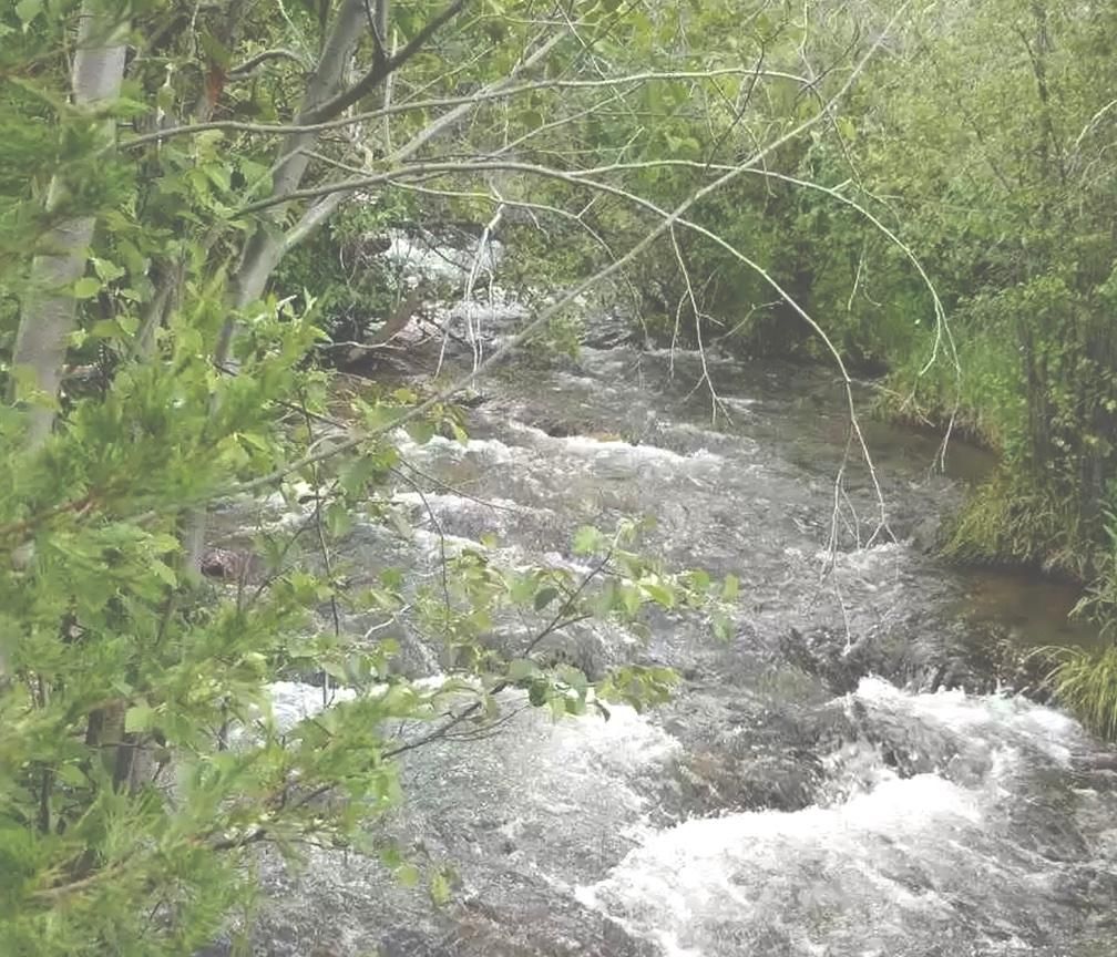 375 per month Montana Mining Claim Ownership, Ennis, MT 59729 Land