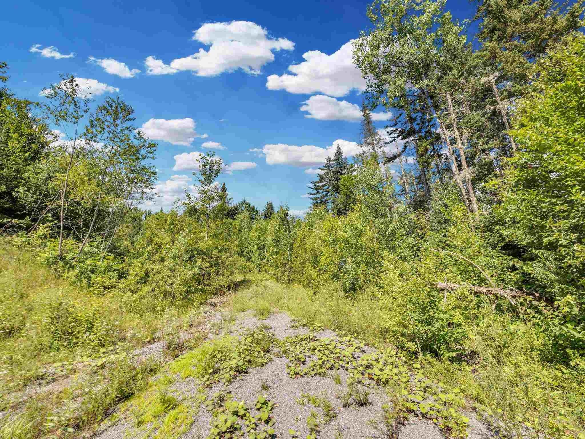 50 Acres, 0 Cooper Hill/Blakeville Road, Eden, VT 05653 Land and Farm