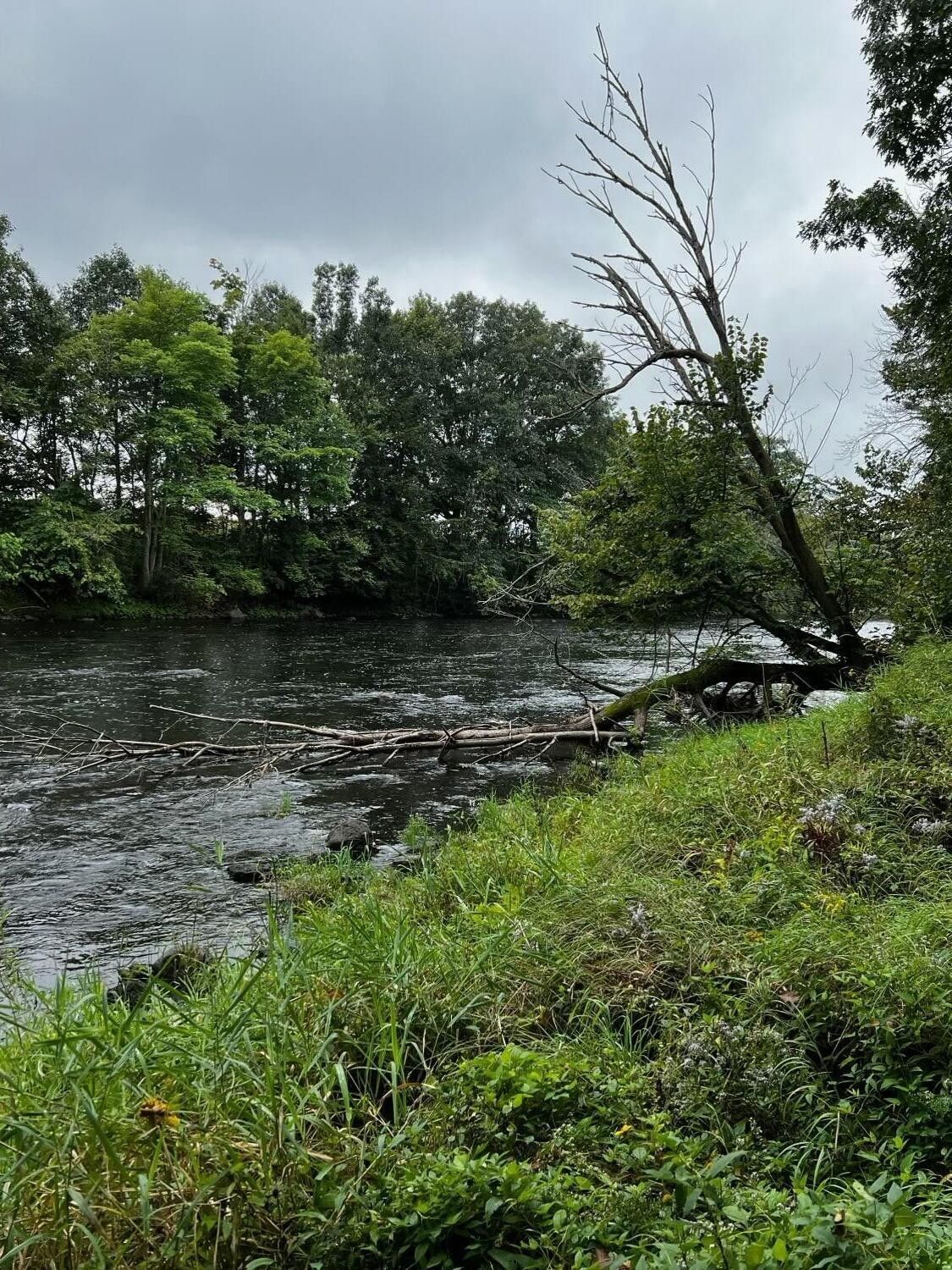 5 Acres, 0 Perry Mills Road Road, Champlain, NY 12919 Land and Farm