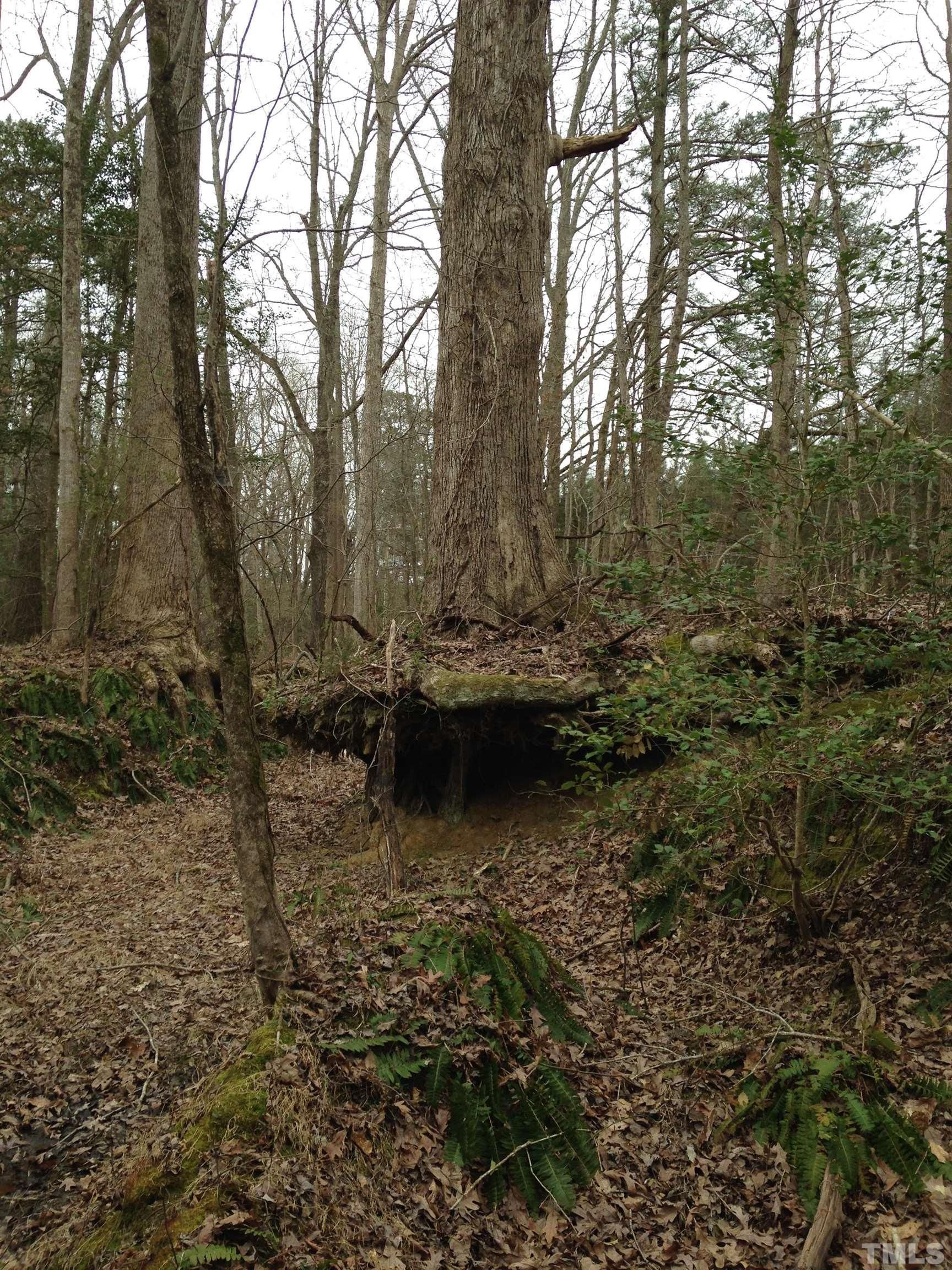 1 NC98, Bunn, NC 27508 Land and Farm