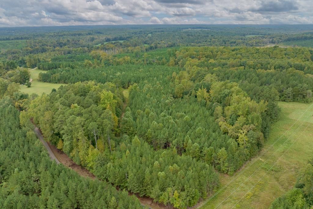 24.47 Acres, The Grove Rd, Blackstone, VA 23824 Land and Farm