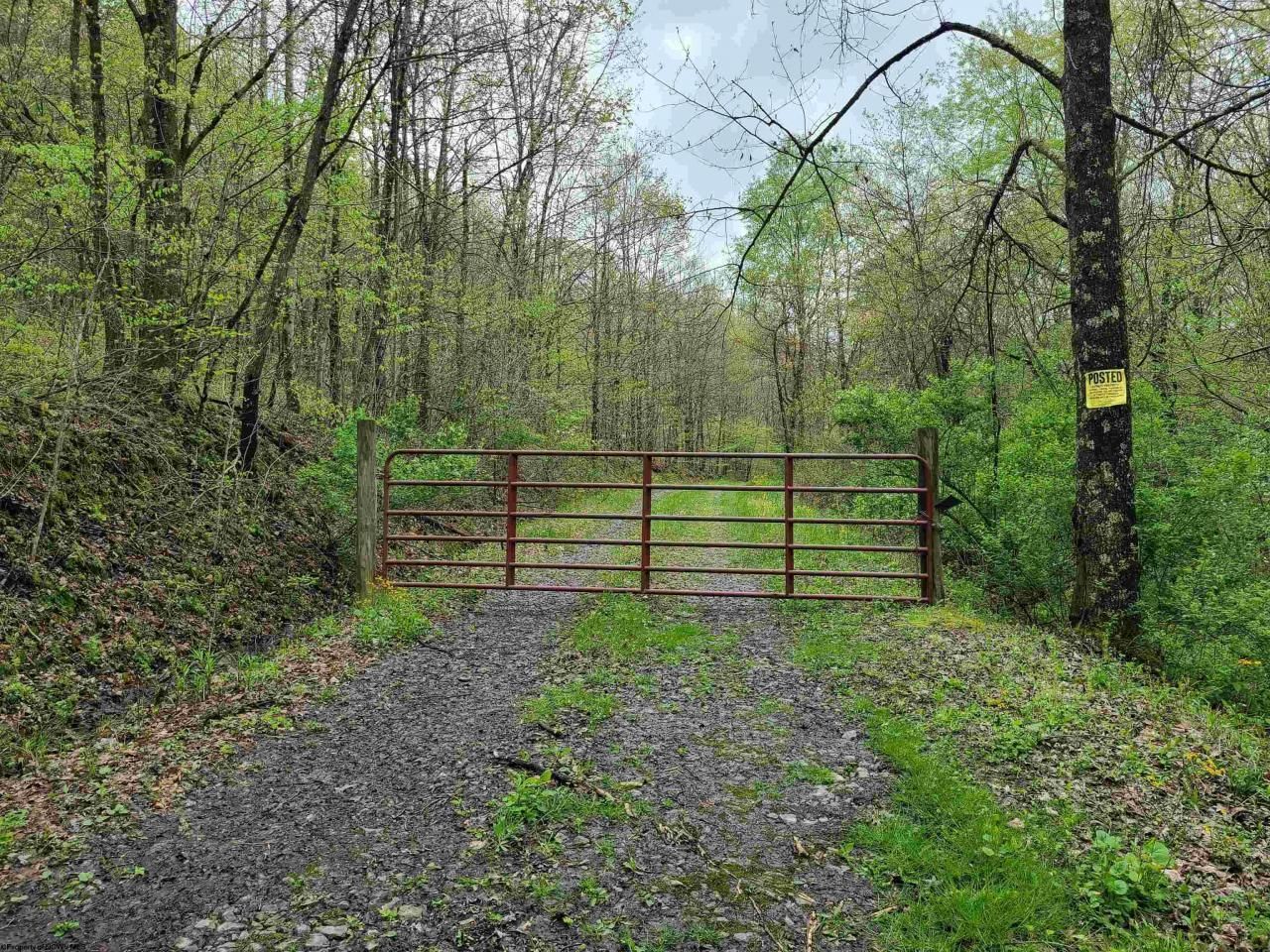 Frost Run, Philippi, WV 26416 MLS 10148820 Land and Farm