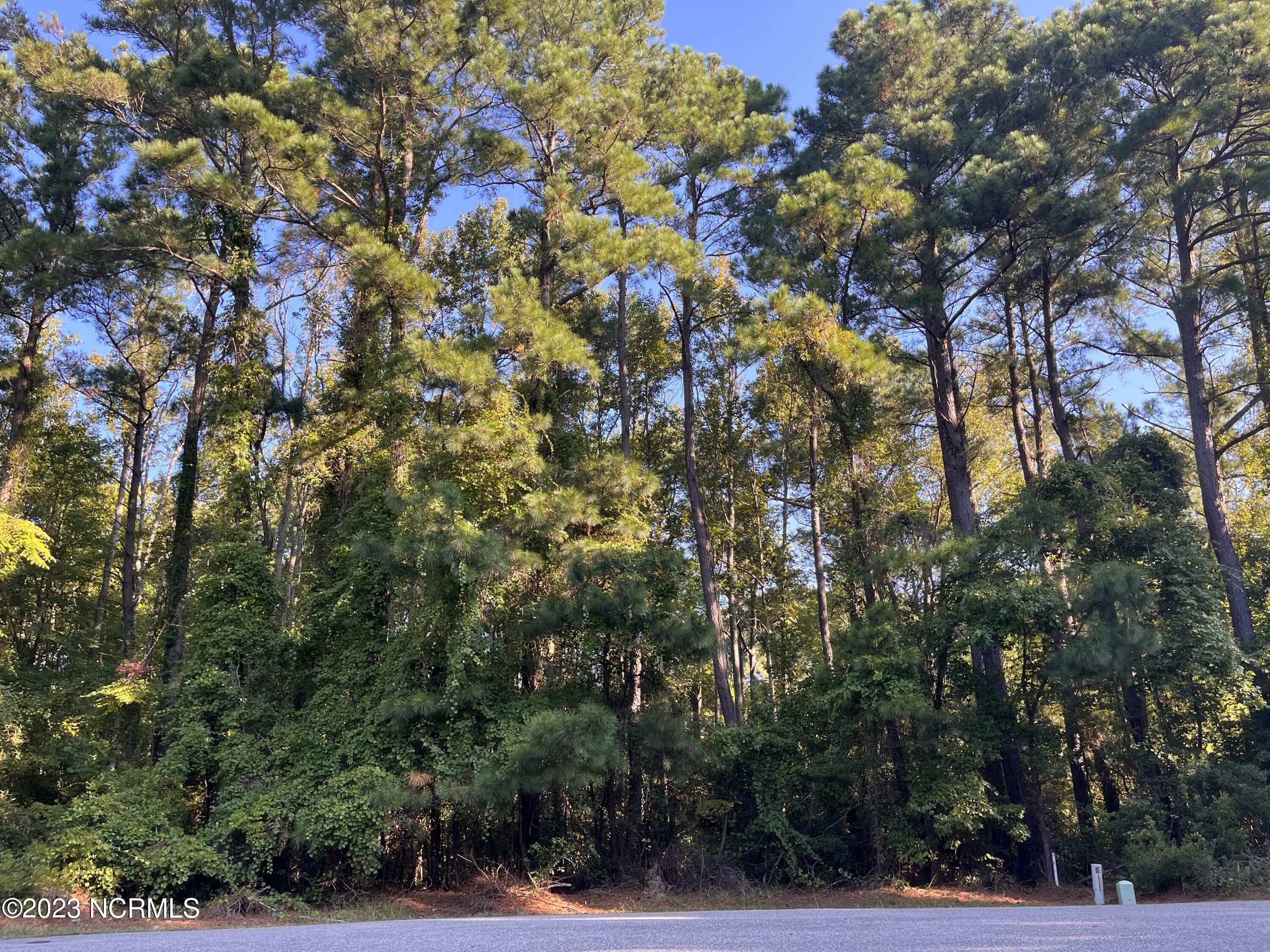 0.46 Acres, 102 Sulliwans, Powells Point, NC 27966 Land and Farm