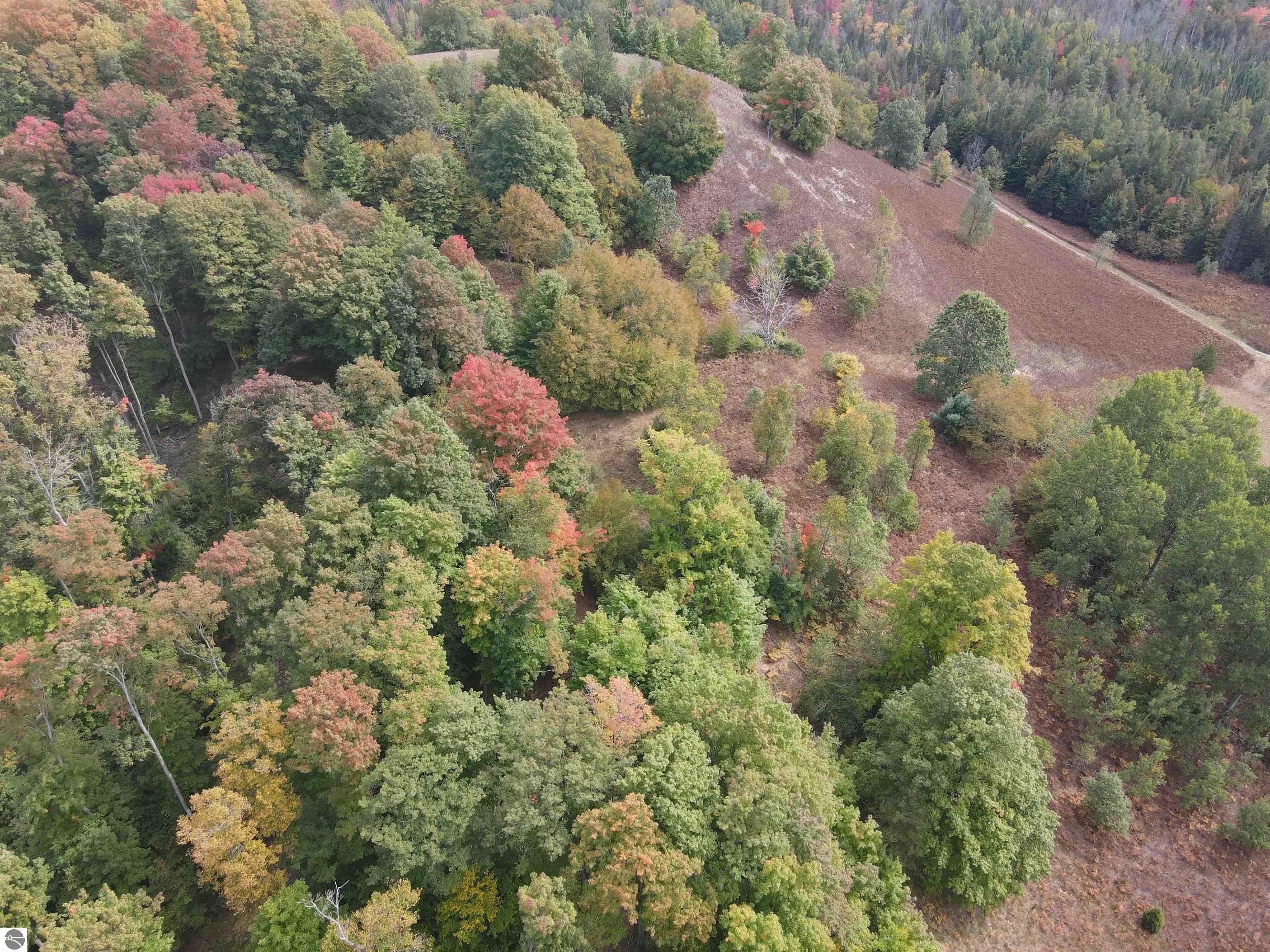 170 Acres, 170 a Ridgeview Drive, Kalkaska, MI 49646 Land and Farm