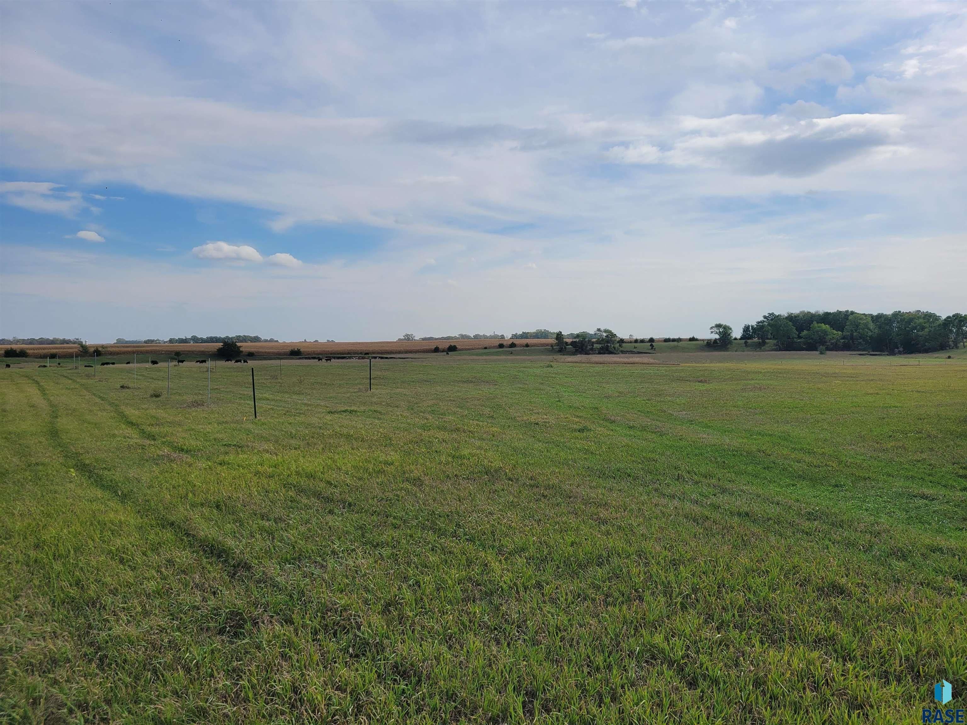 5 Acres, 466th Ave, Lennox, SD 57039 Land and Farm