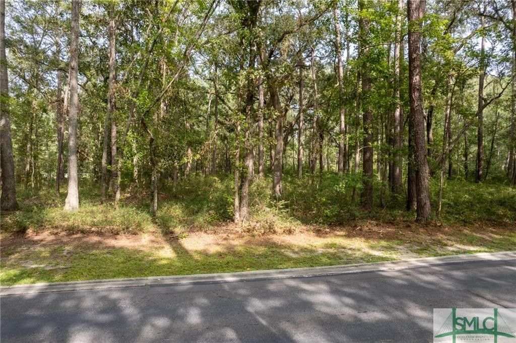 2.46 Acres, 442 Ford Way, Richmond Hill, GA 31324 Land and Farm