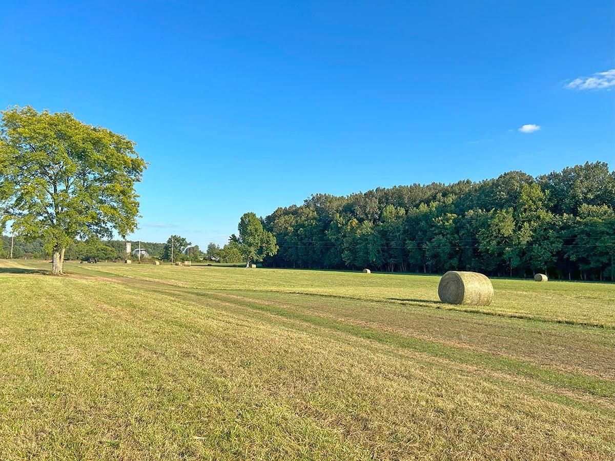 4305 Matlock Road, Bowling Green, KY 42104 Land and Farm