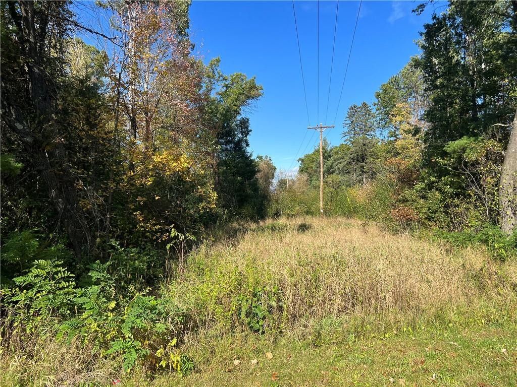 0.75 Acres, 203 Mill Street, Merrillan, WI 54754 Land and Farm