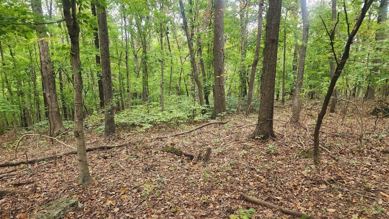 27.6 Acres, 0 Sara Lane, Russellville, KY 42276 Land and Farm