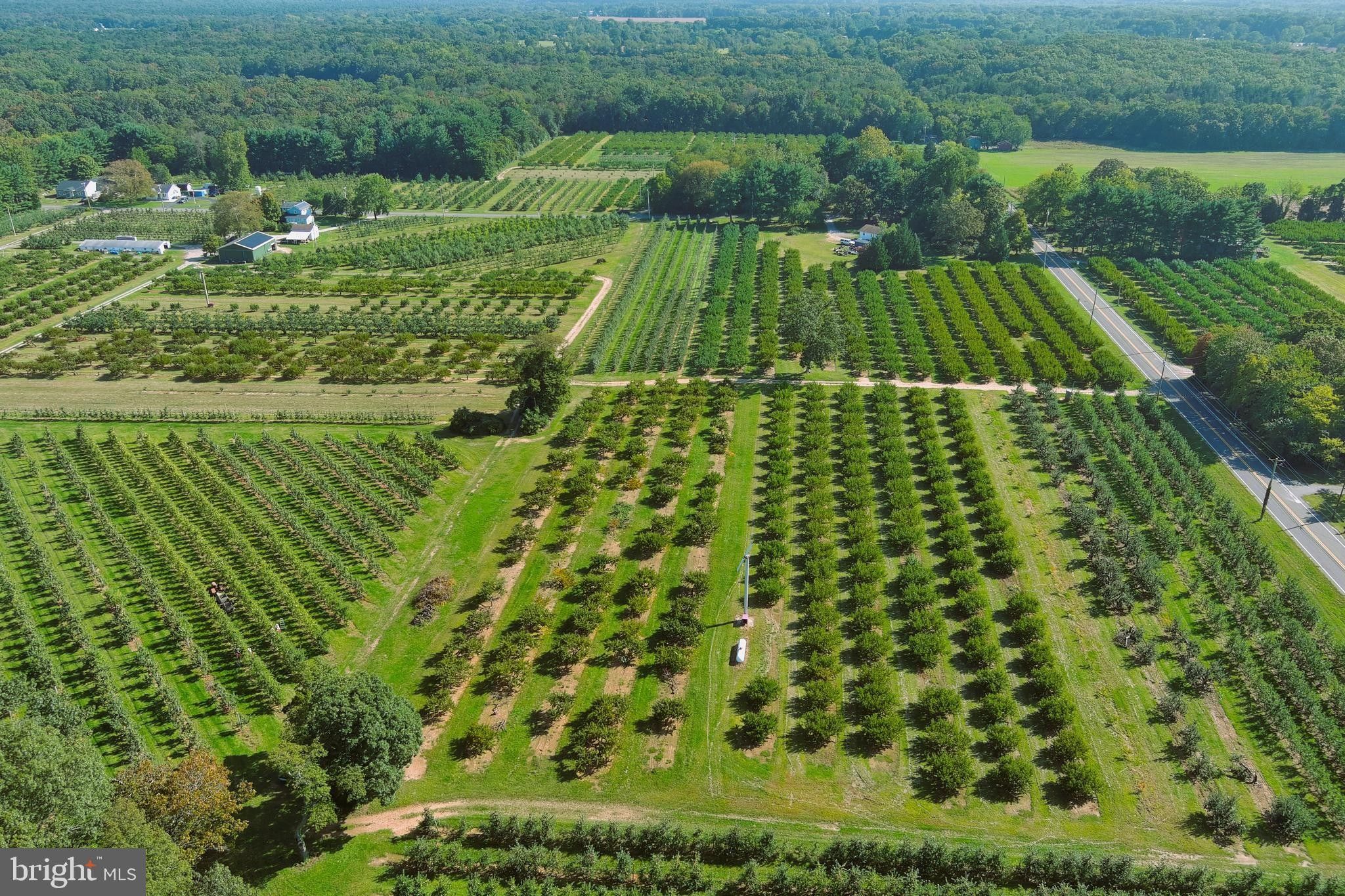 76.83 Acres, 628 ROYAL AVENUE, Franklinville, NJ 08322 Land and Farm