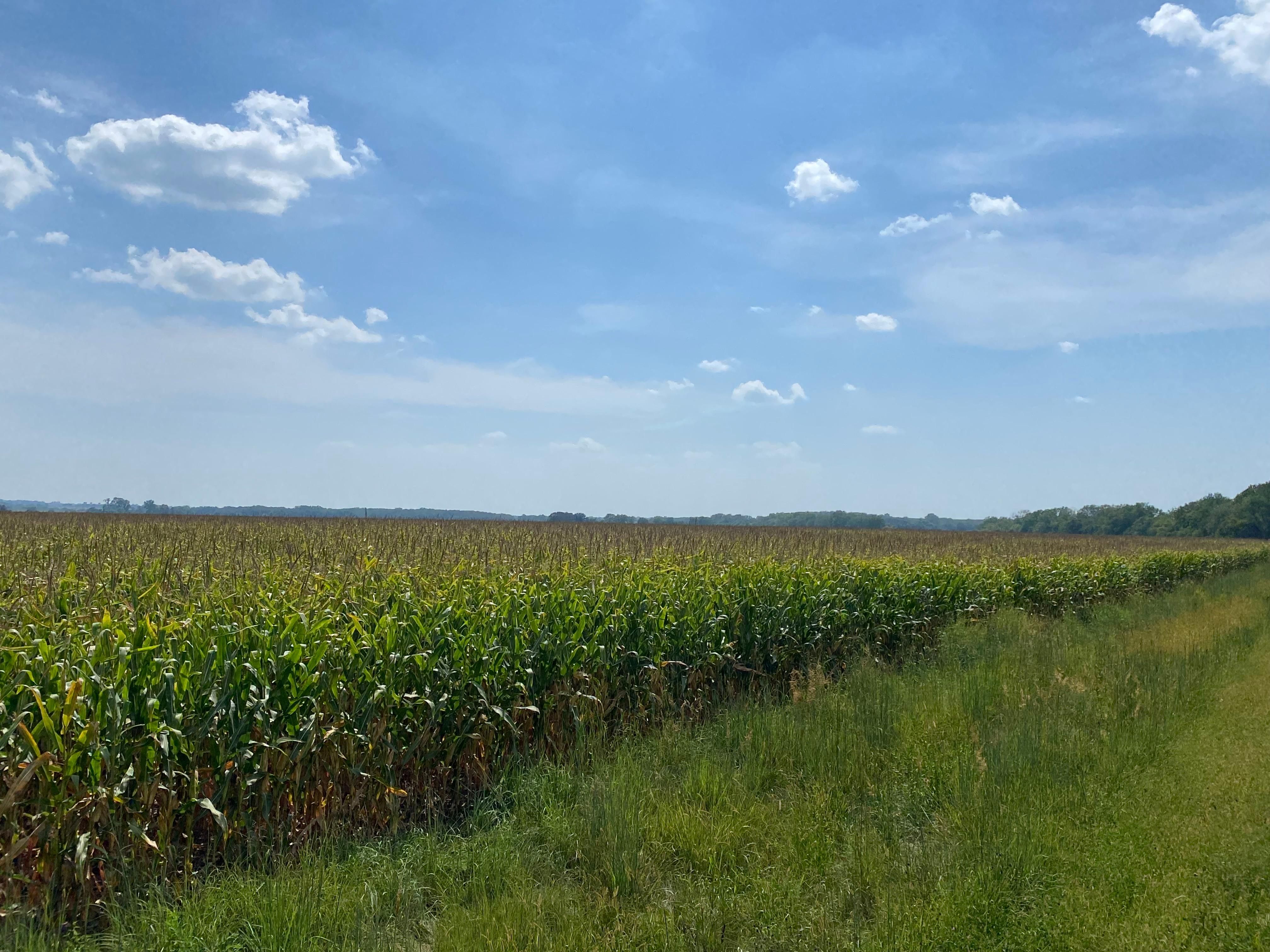 504 acres in Humboldt, NE, 68376 Land and Farm