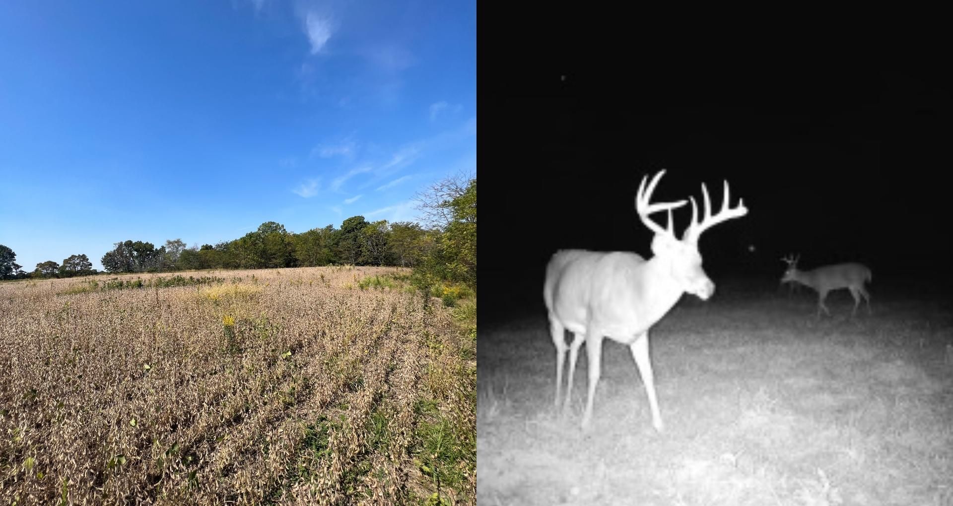 700 East, Herrick, IL 62431 Land and Farm