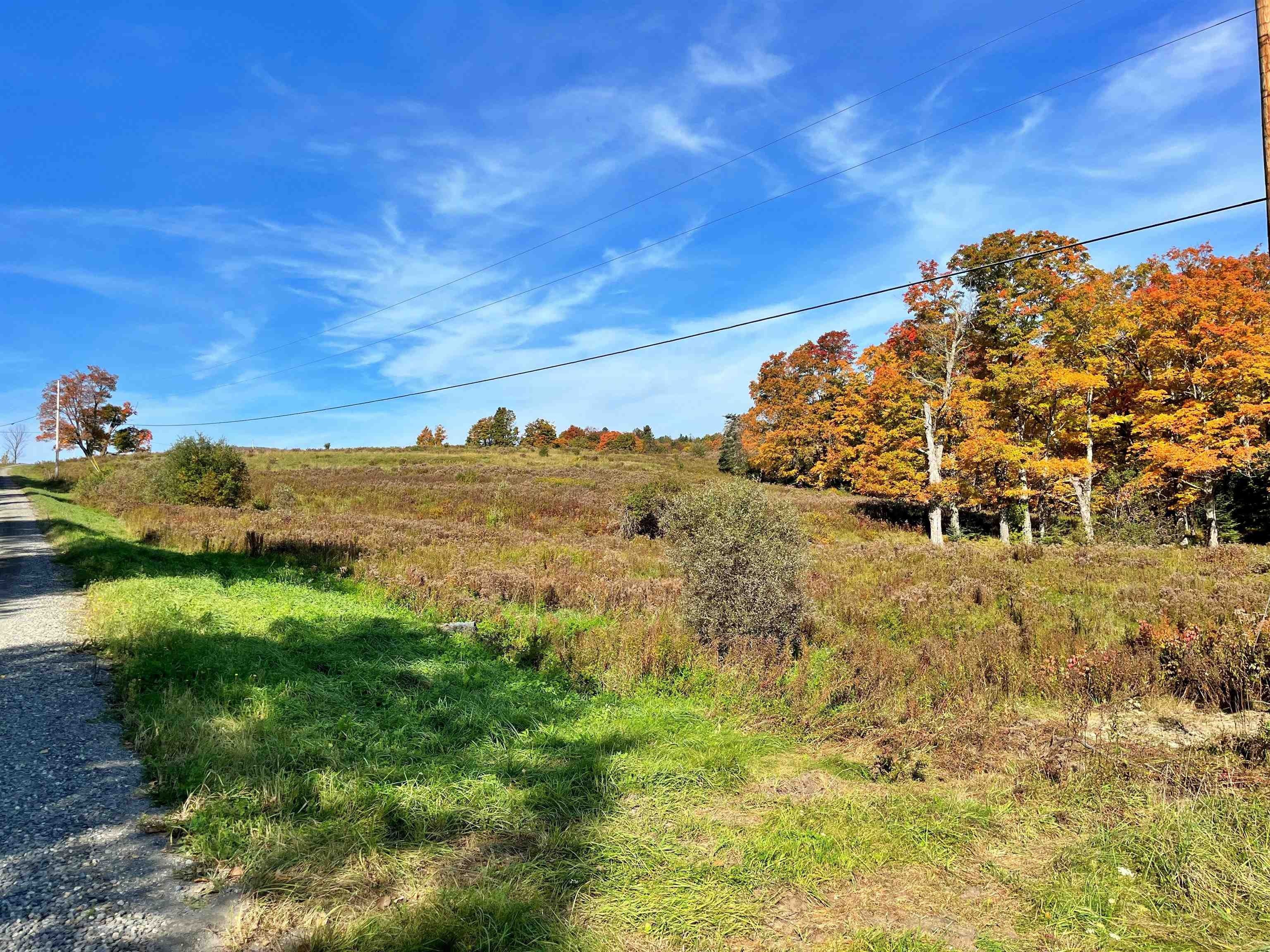 51.5 Acres, King Road, Glover, VT 05875 Land and Farm