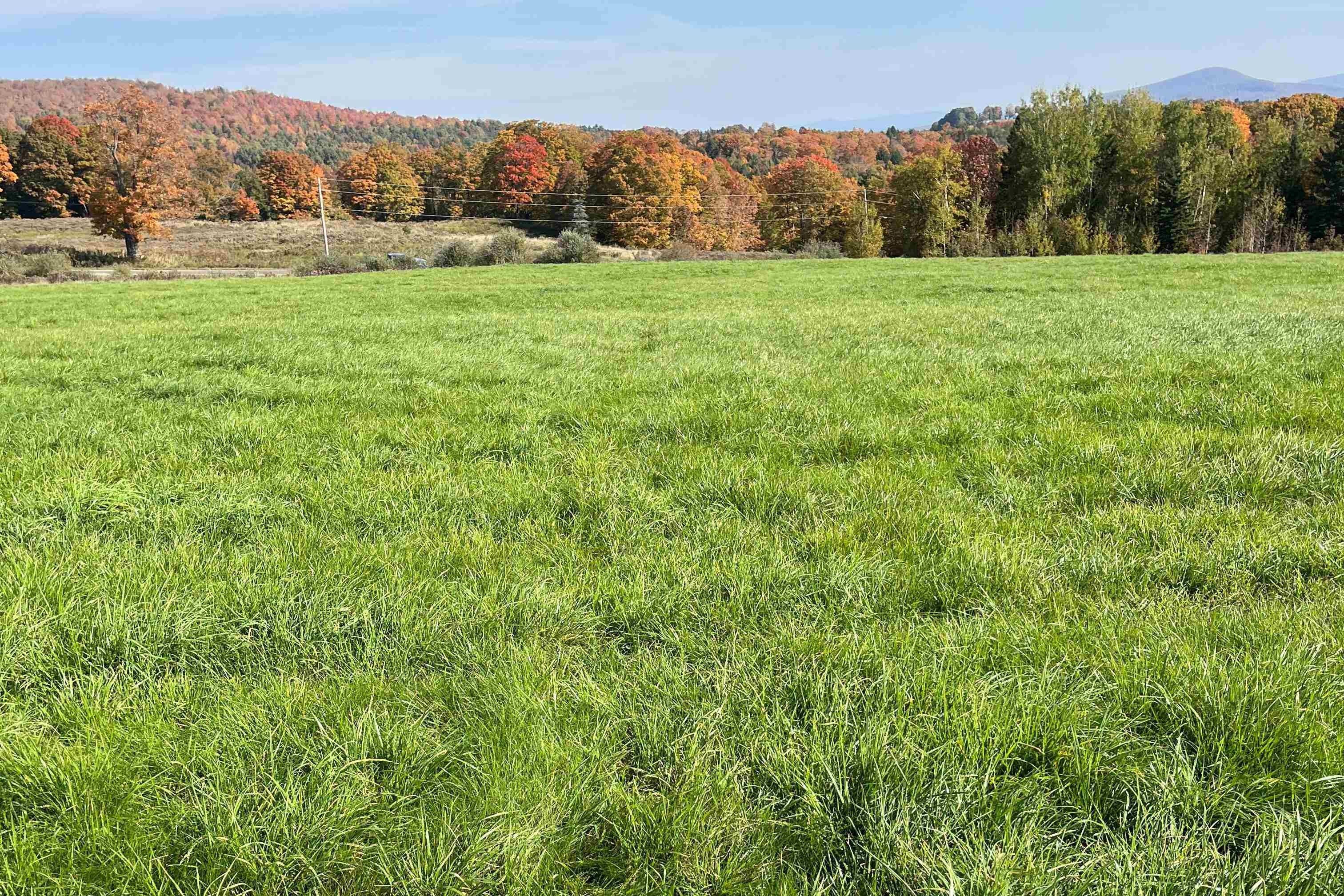 10 Acres, 0 King Road, Glover, VT 05875 Land and Farm