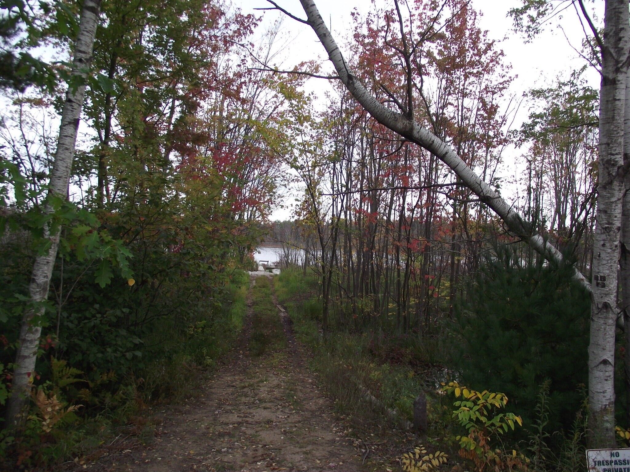 78.5 Acres, 015271 Makinen Road, Kaleva, MI 49645 Land and Farm