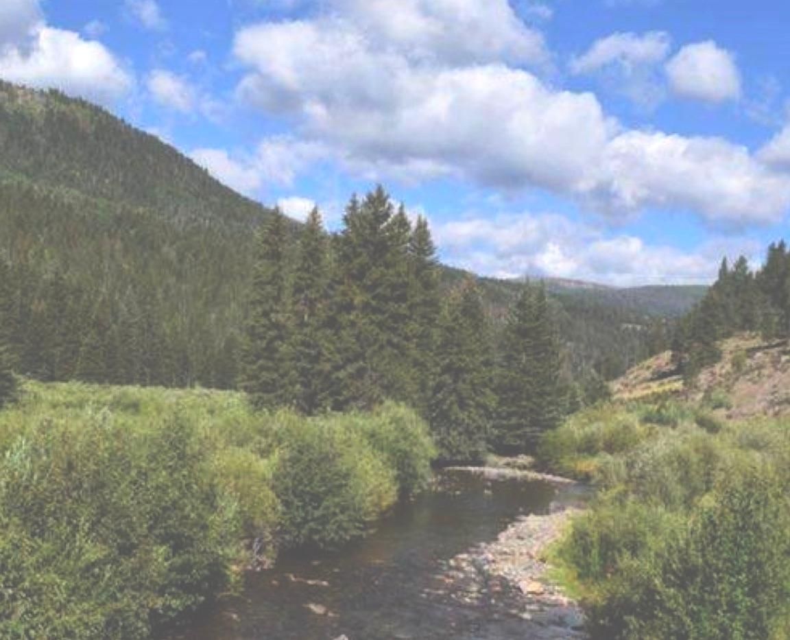 375 per month Montana Mining Claim Ownership, McAllister, MT 59729