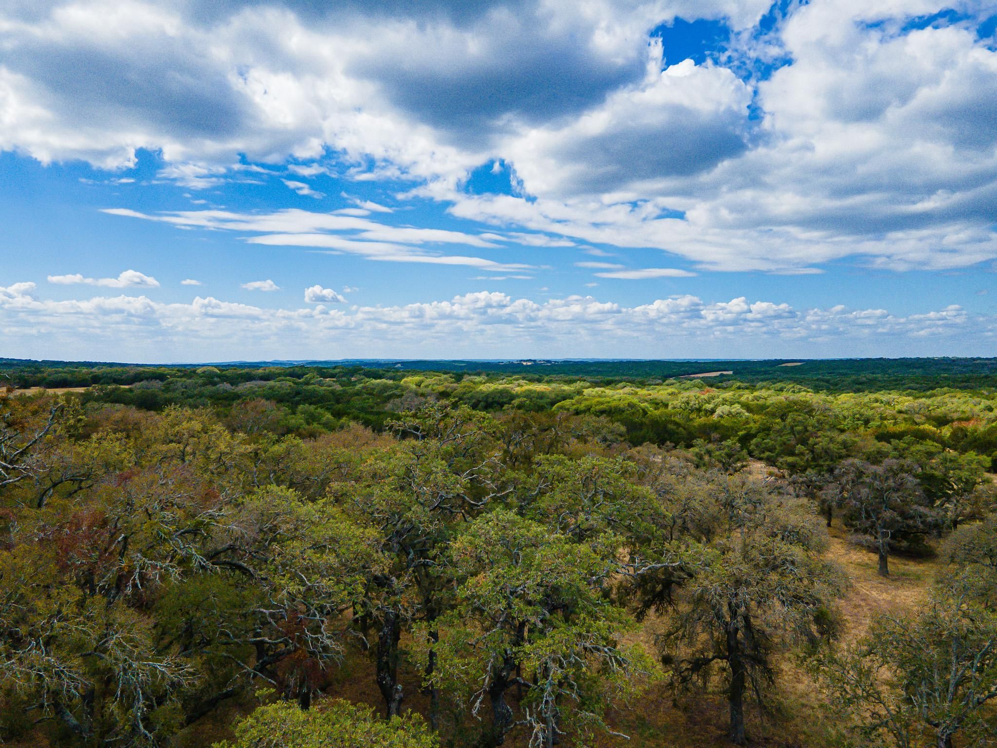 11 Acres, 920 Blackbuck Ridge Drive, Lampasas, TX 76550 Land and Farm