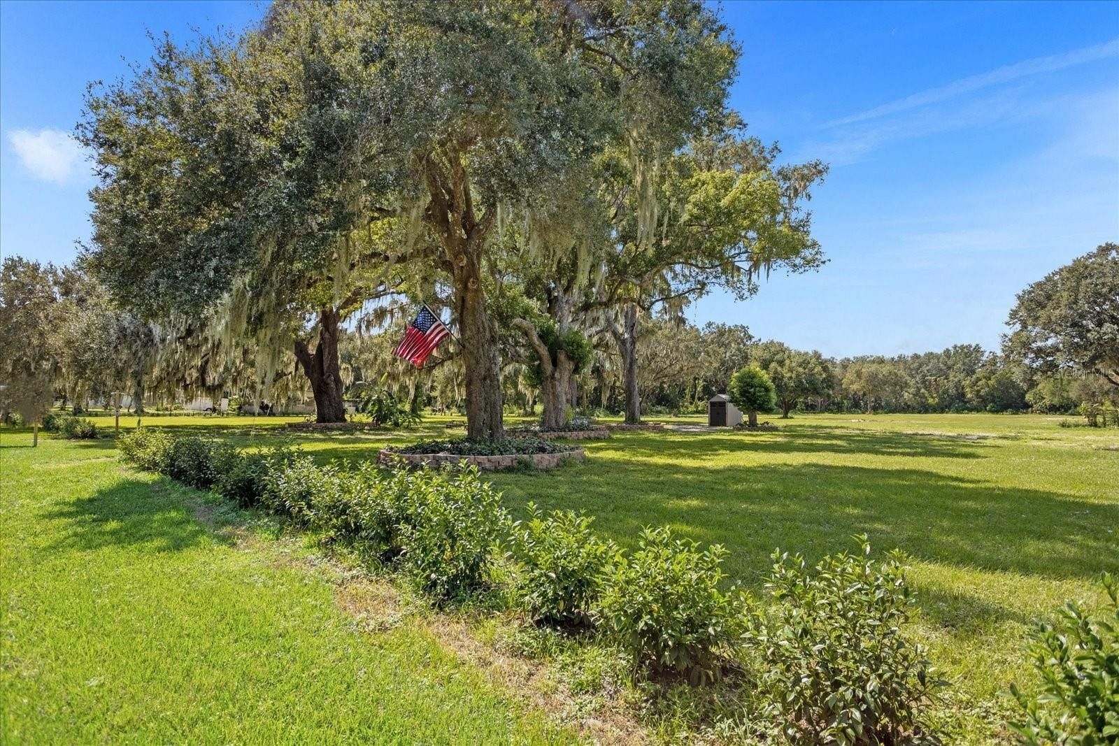 4.34 Acres, 26831 BLOOMFIELD AVENUE, Yalaha, FL 34797 Land and Farm